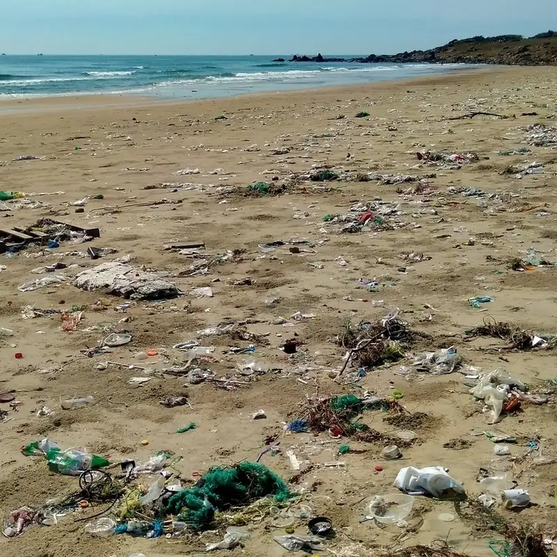 Plex User Data Leak, Nintendo Switch Online Expansion Pack, and Apps to Keep Coastlines Clean