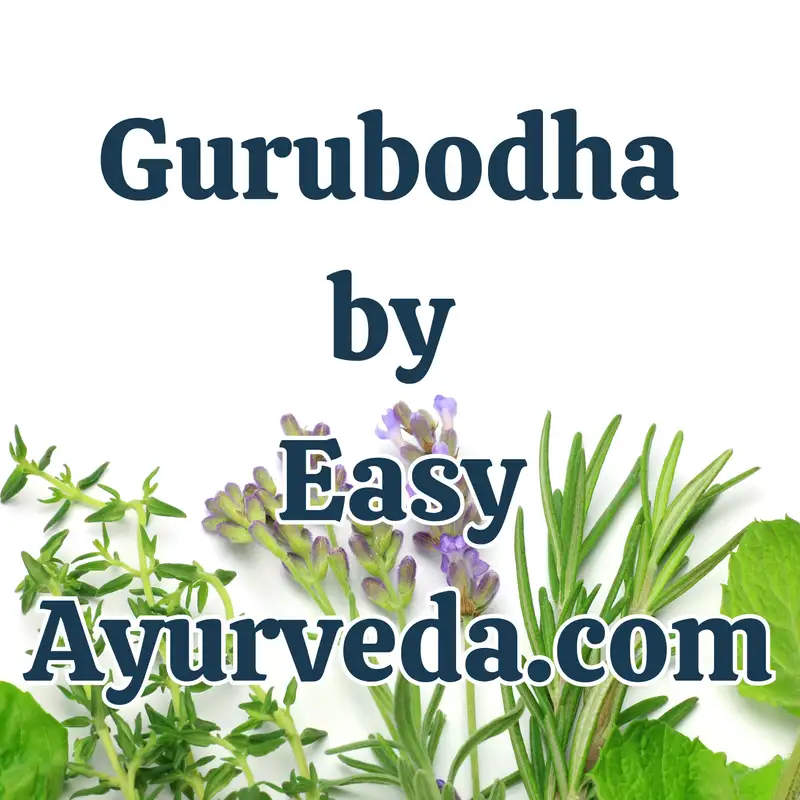 Gurubodha 139: Retinitis Pigmentosa| How a drug works in Ayurveda? Half-life of medicines| Bulk of muscles – might not be sign of good health