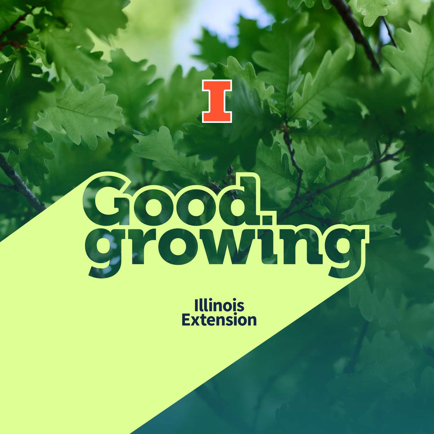 Good Growing