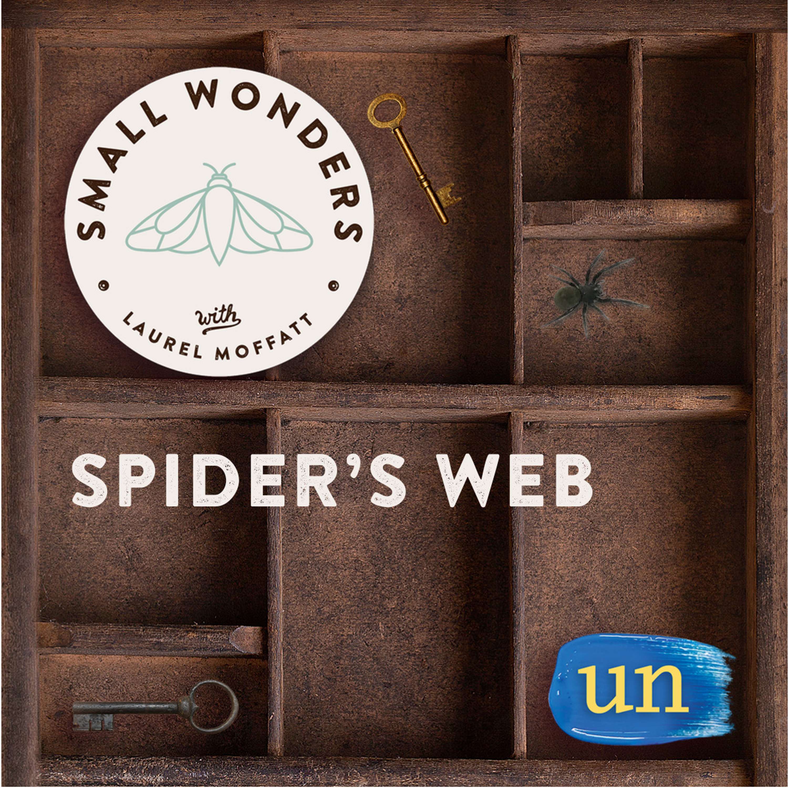 Small Wonders