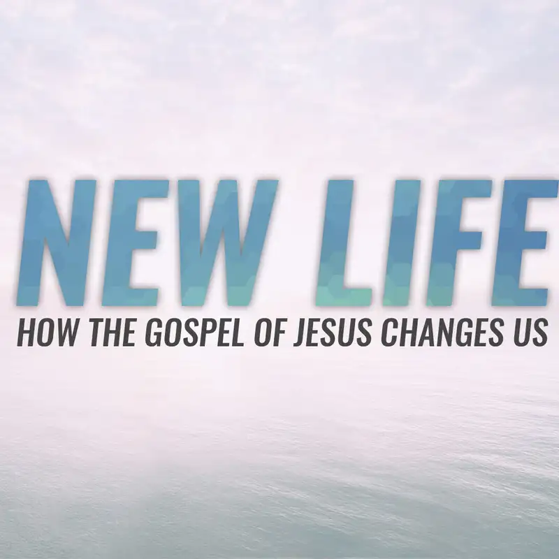 Colossians 3:1-14 (Audio)