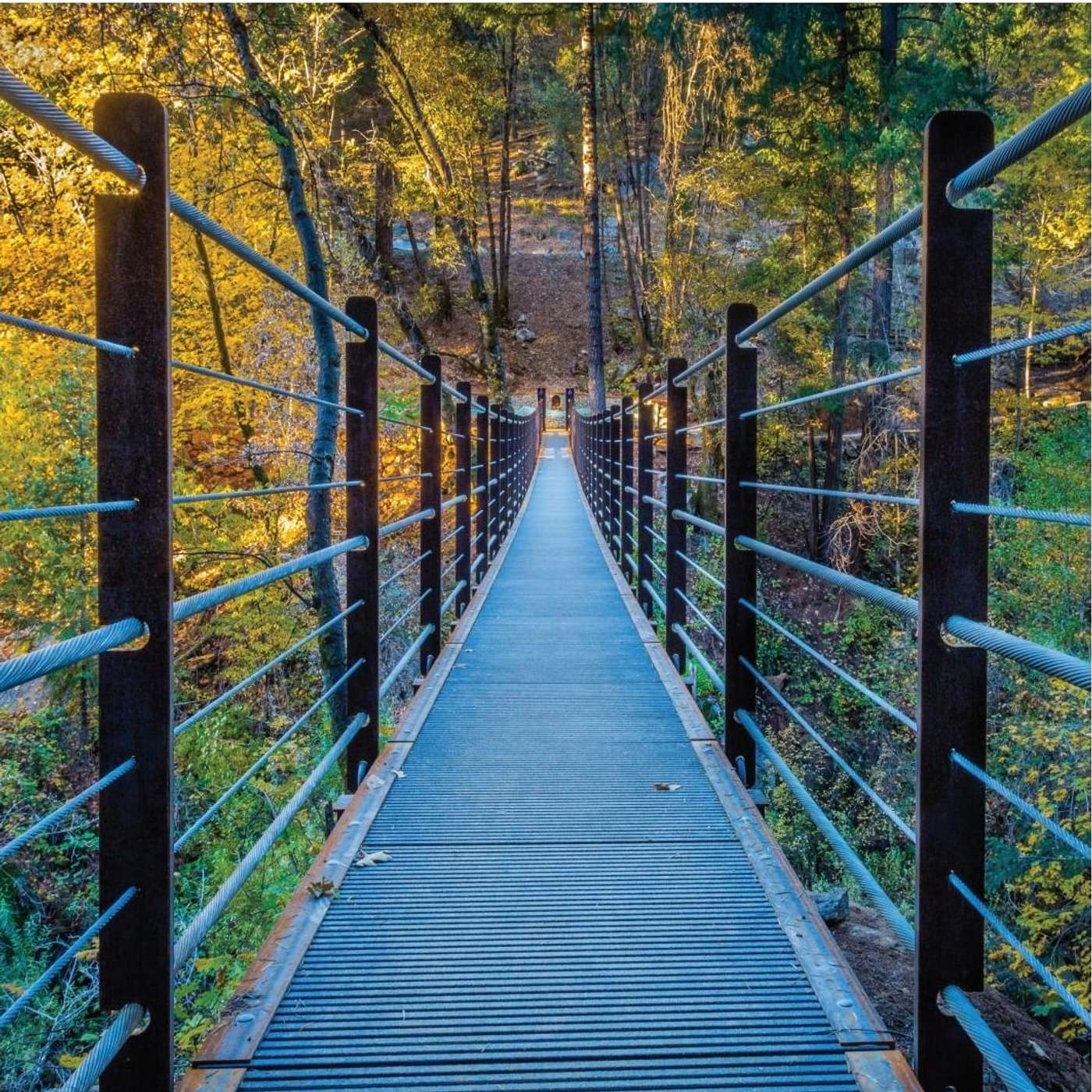 Embracing The Journey