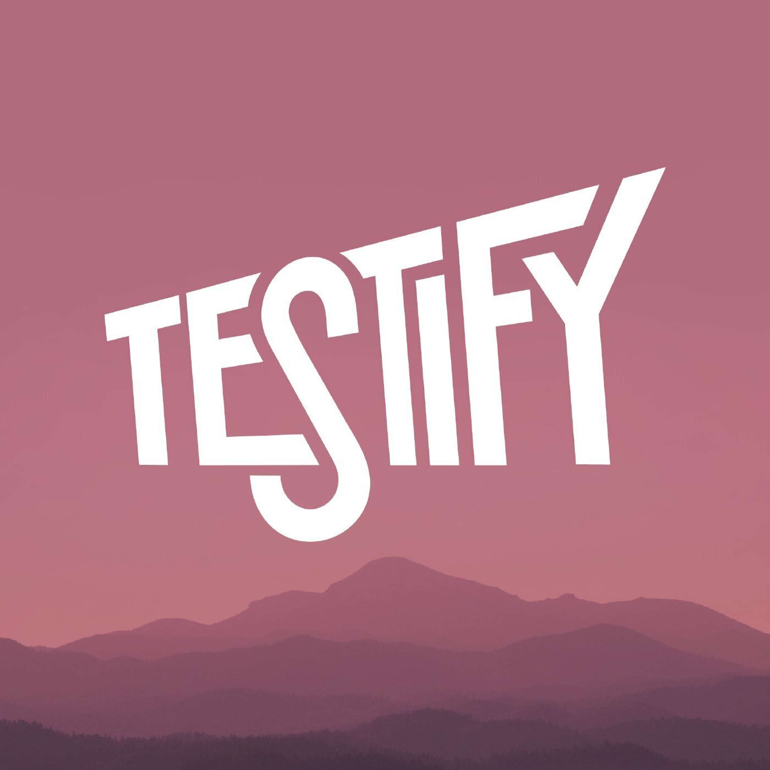 cover of episode Faith In Action
