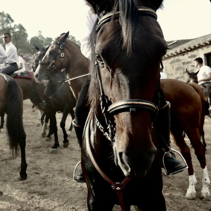 S'Ardia - an ancestral rite in Sedilo - soundscape