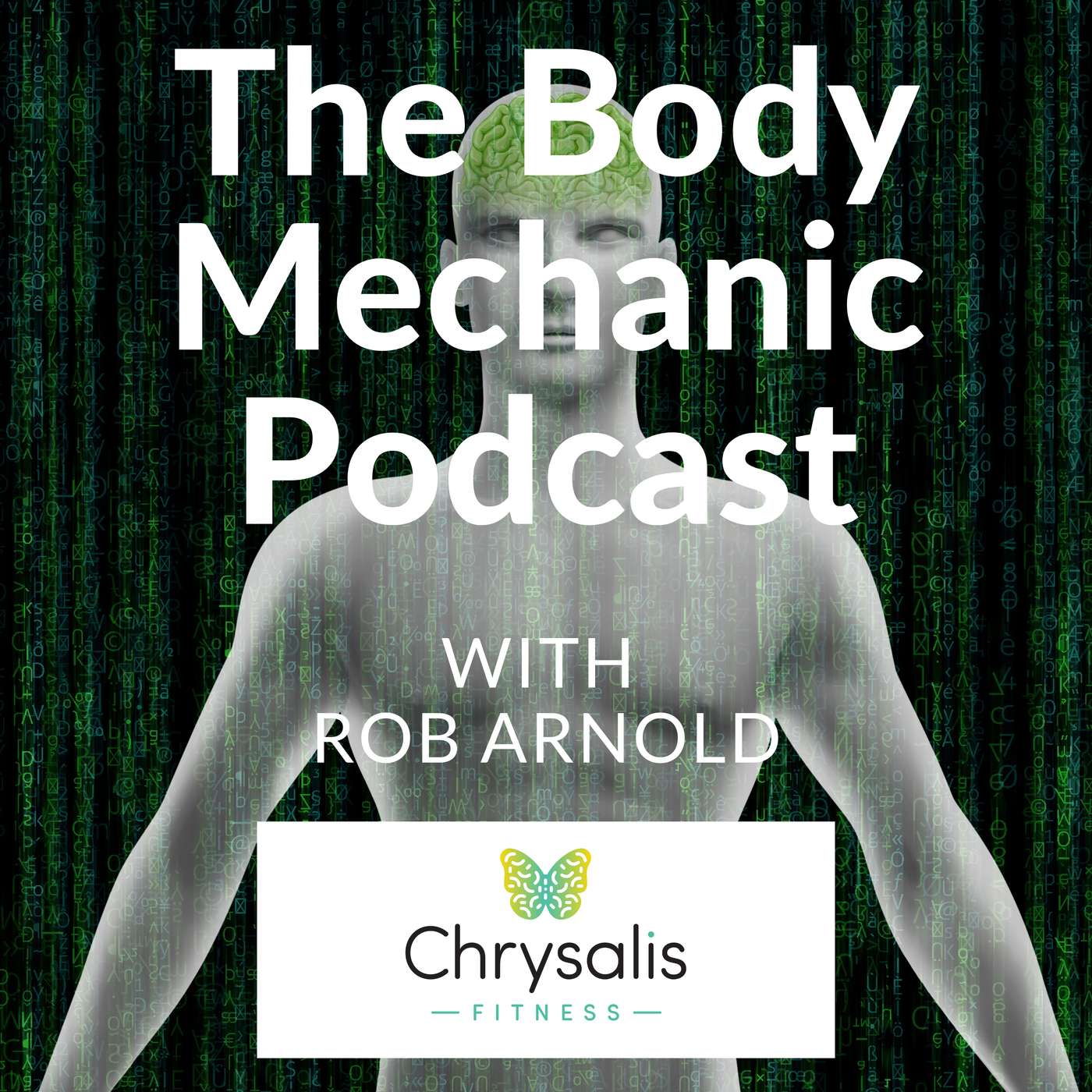 The Body Mechanic 