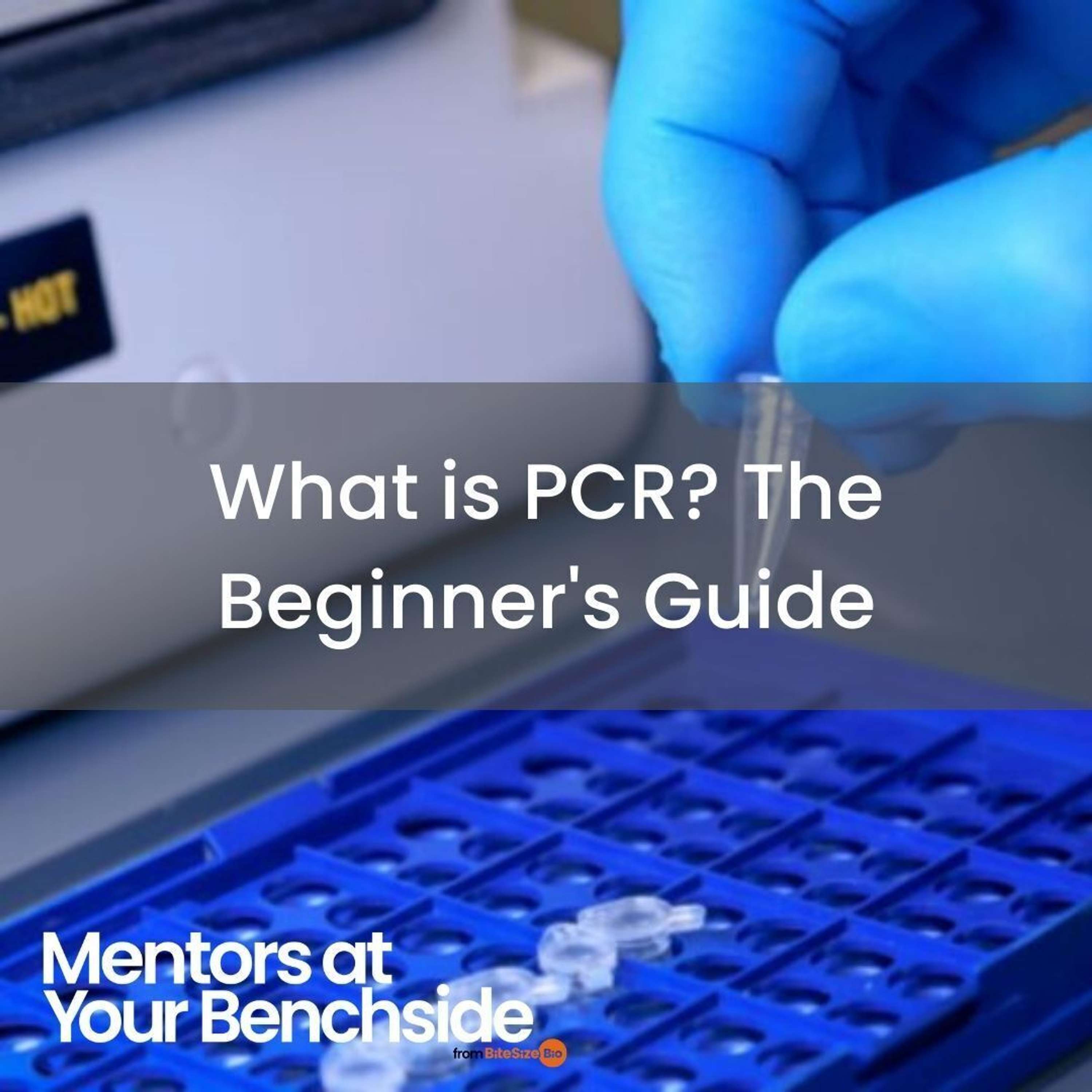 Mentors at Your Benchside