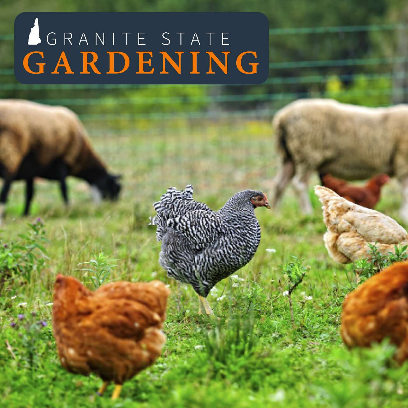 Supporting Animals and Sustaining the Land in the Backyard and on the Homestead