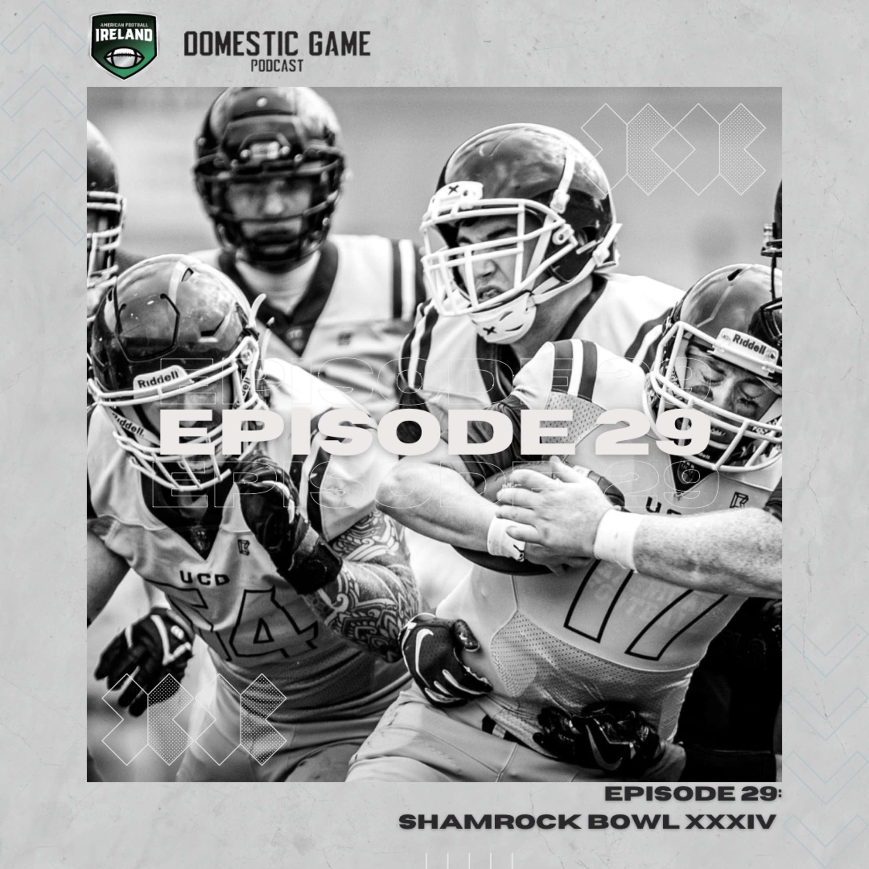 The Domestic Game