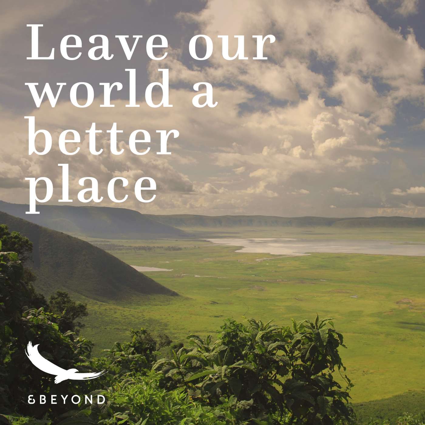 Empowering communities for 30 years with Dr Andrew Venter