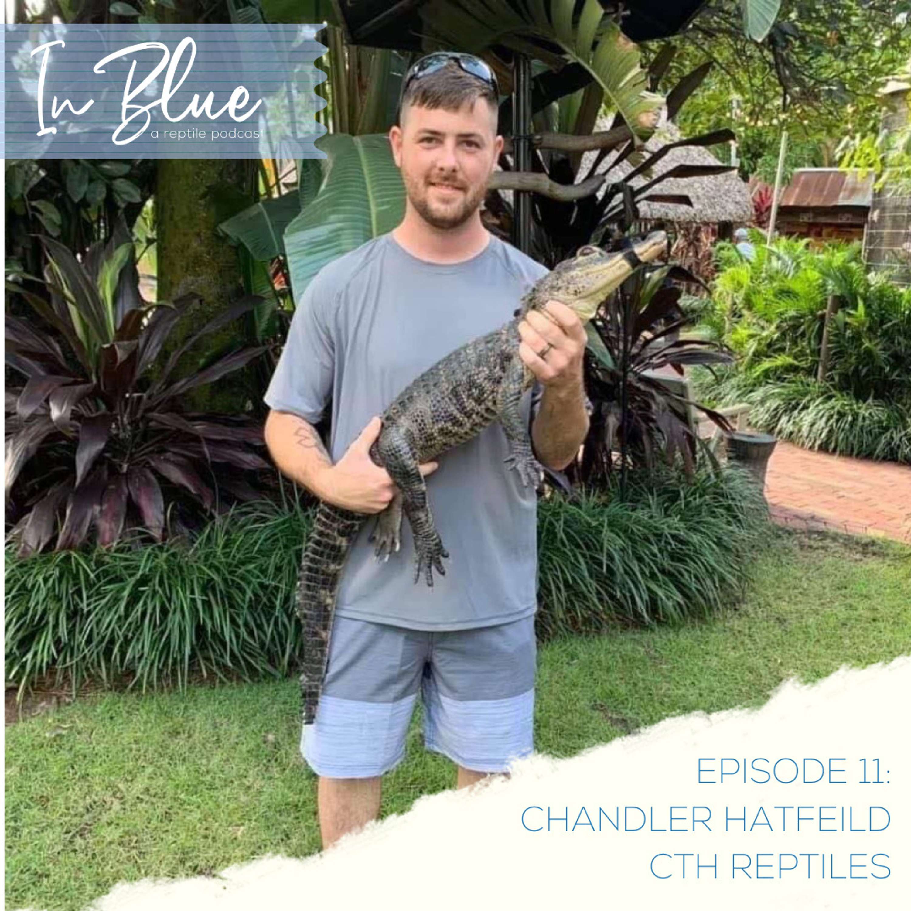 In Blue Podcast