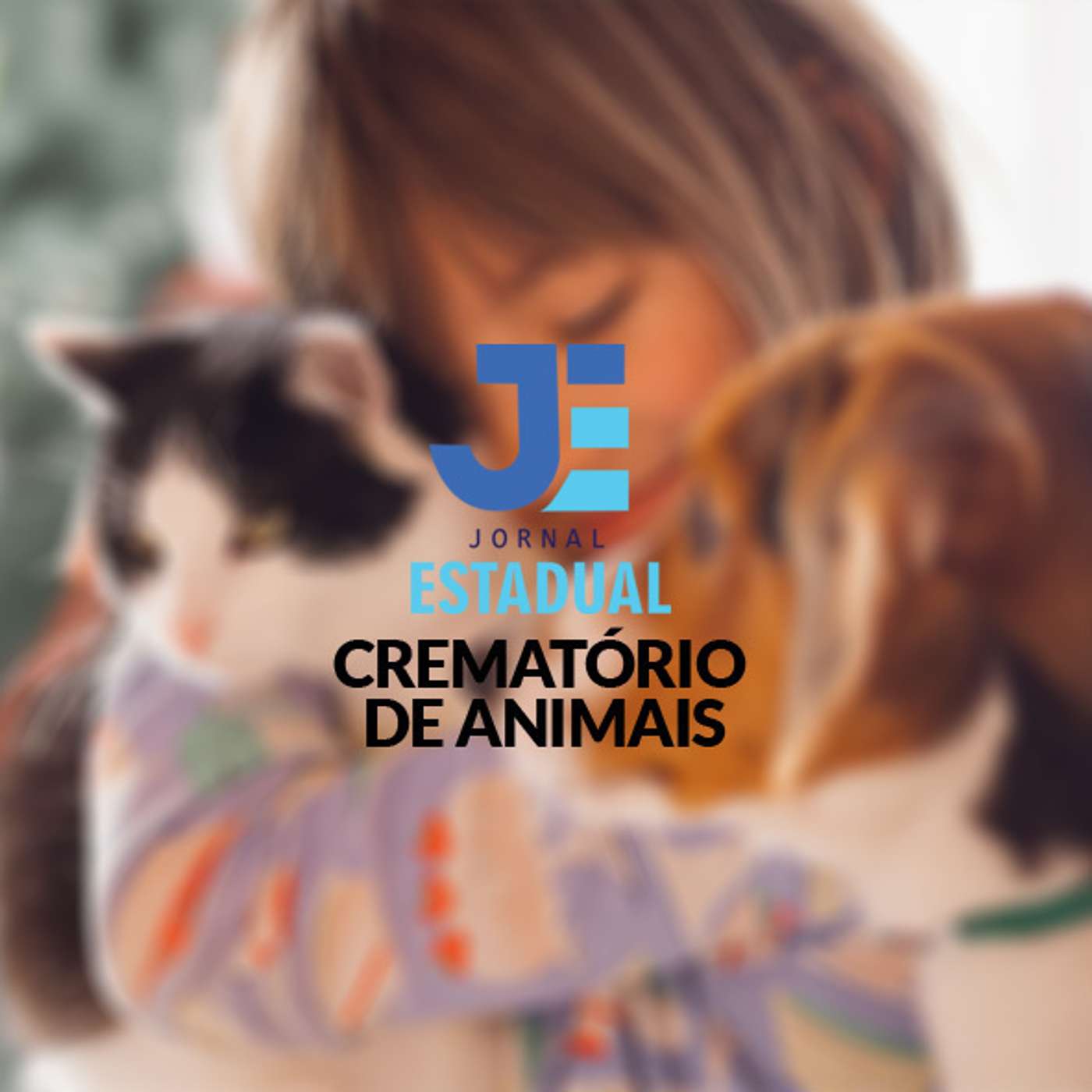 Matéria - Crematório de Animais episode artwork
