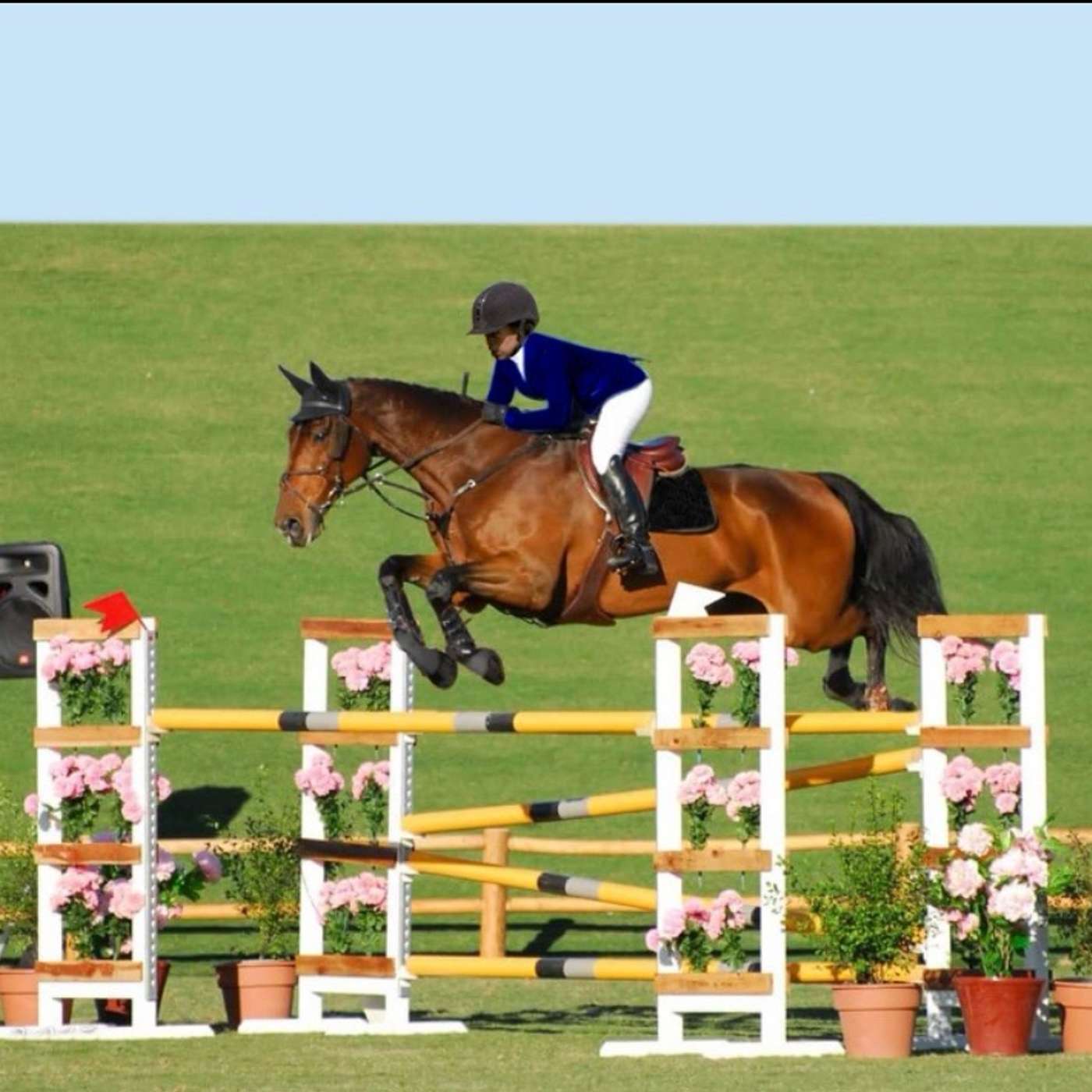 The Life of an Amazing Grand Prix Rider