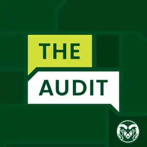 CSU's The Audit