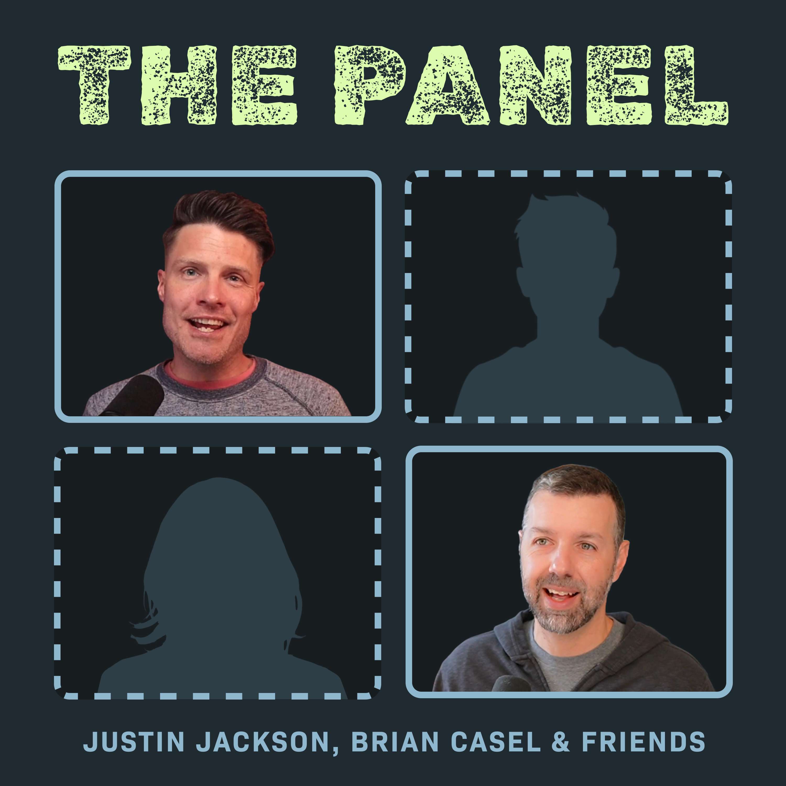 The Panel - podcast cover