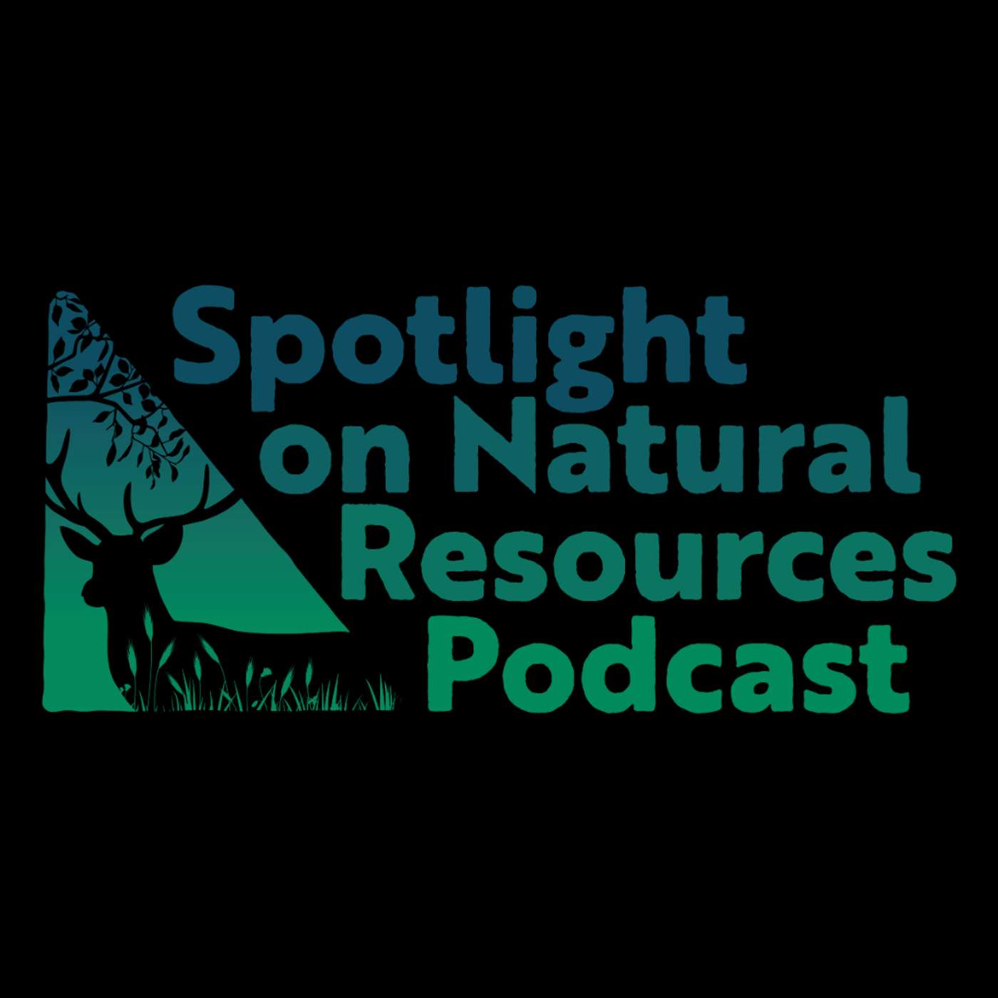 Everyday Environment Podcast