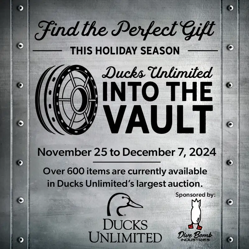 Ep. 637 - Live Auction: INTO THE VAULT 2024