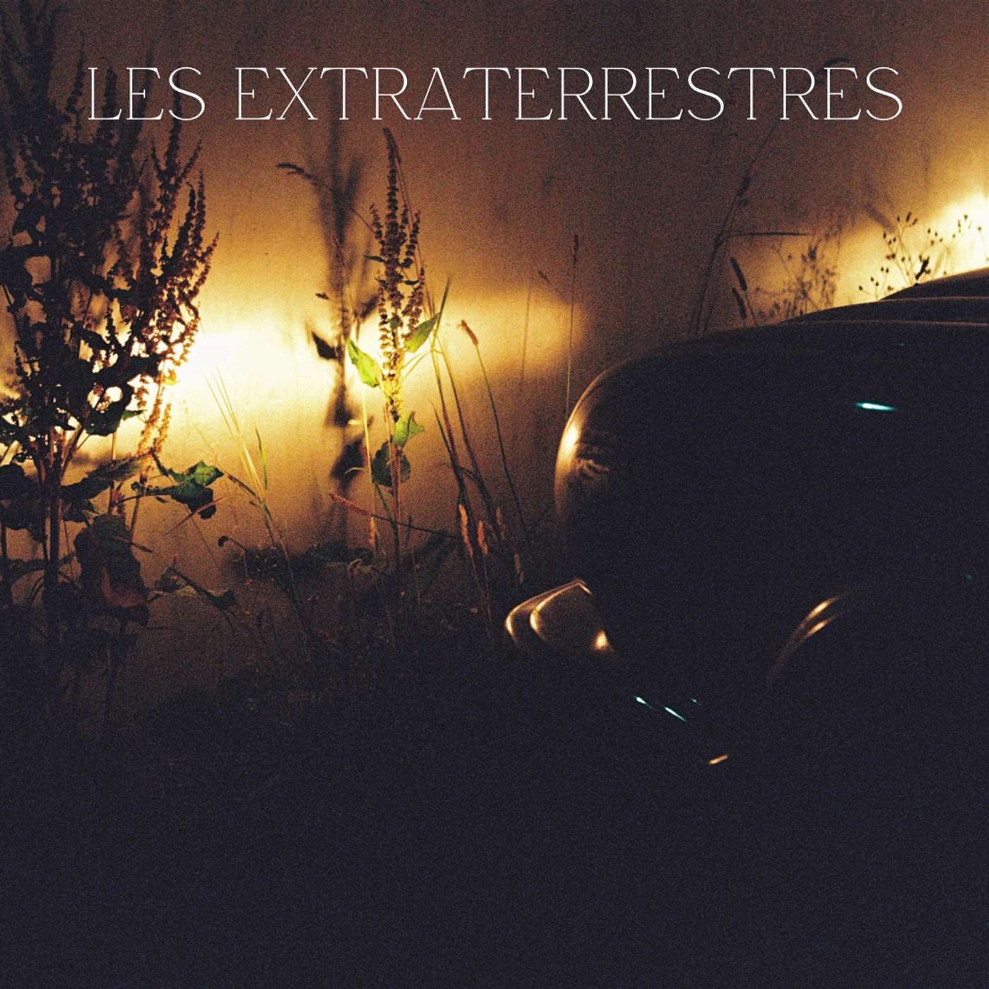 Rencontre avec les Extraterrestres - Partie 1/3