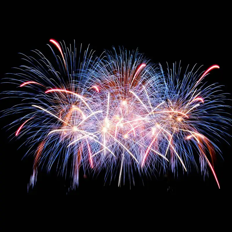 RDN to look into regulating sale of consumer-grade fireworks