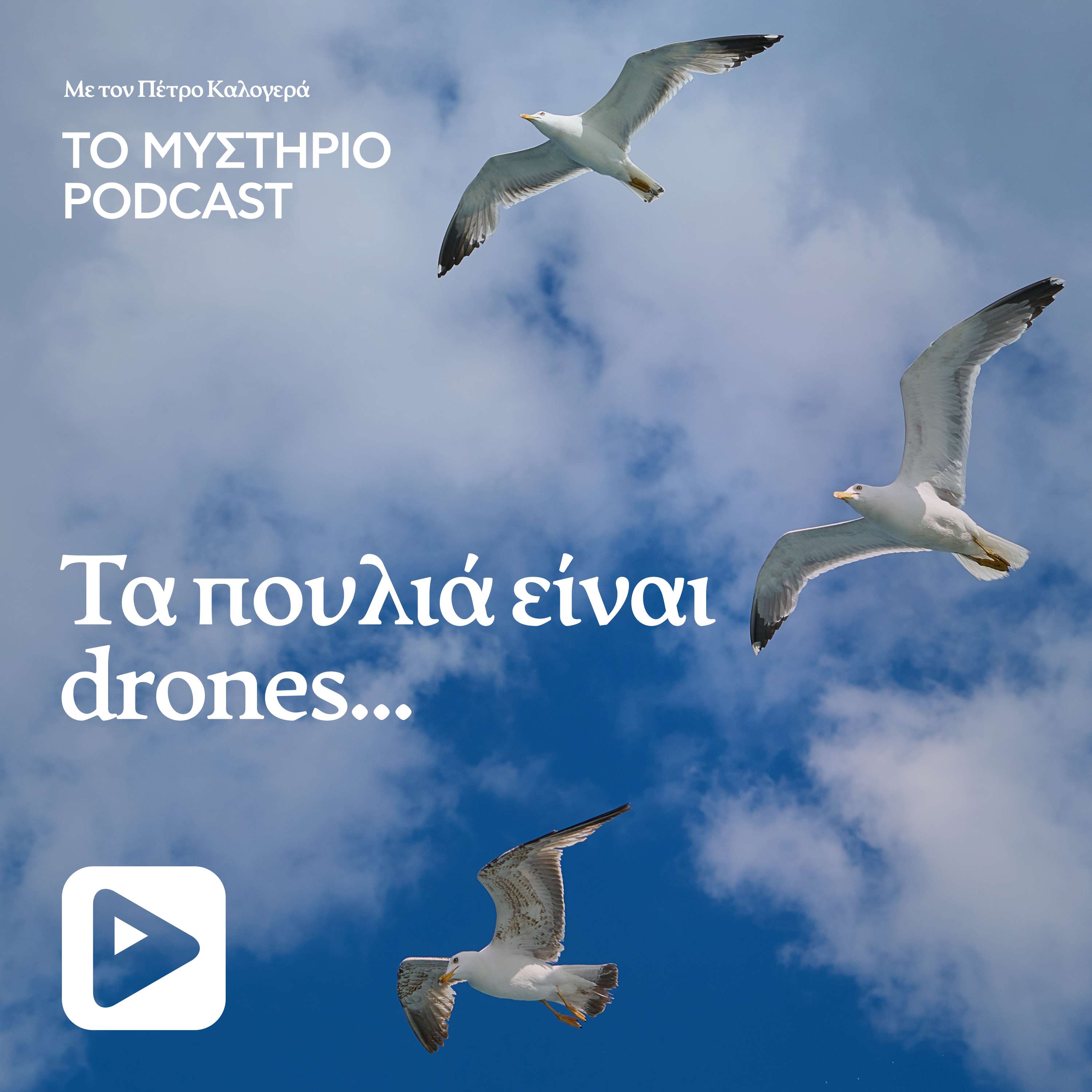 Τα πουλιά είναι drones