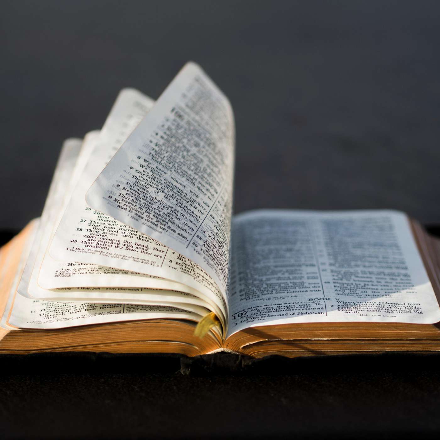 How to Read Scripture with Most Spiritual Profit