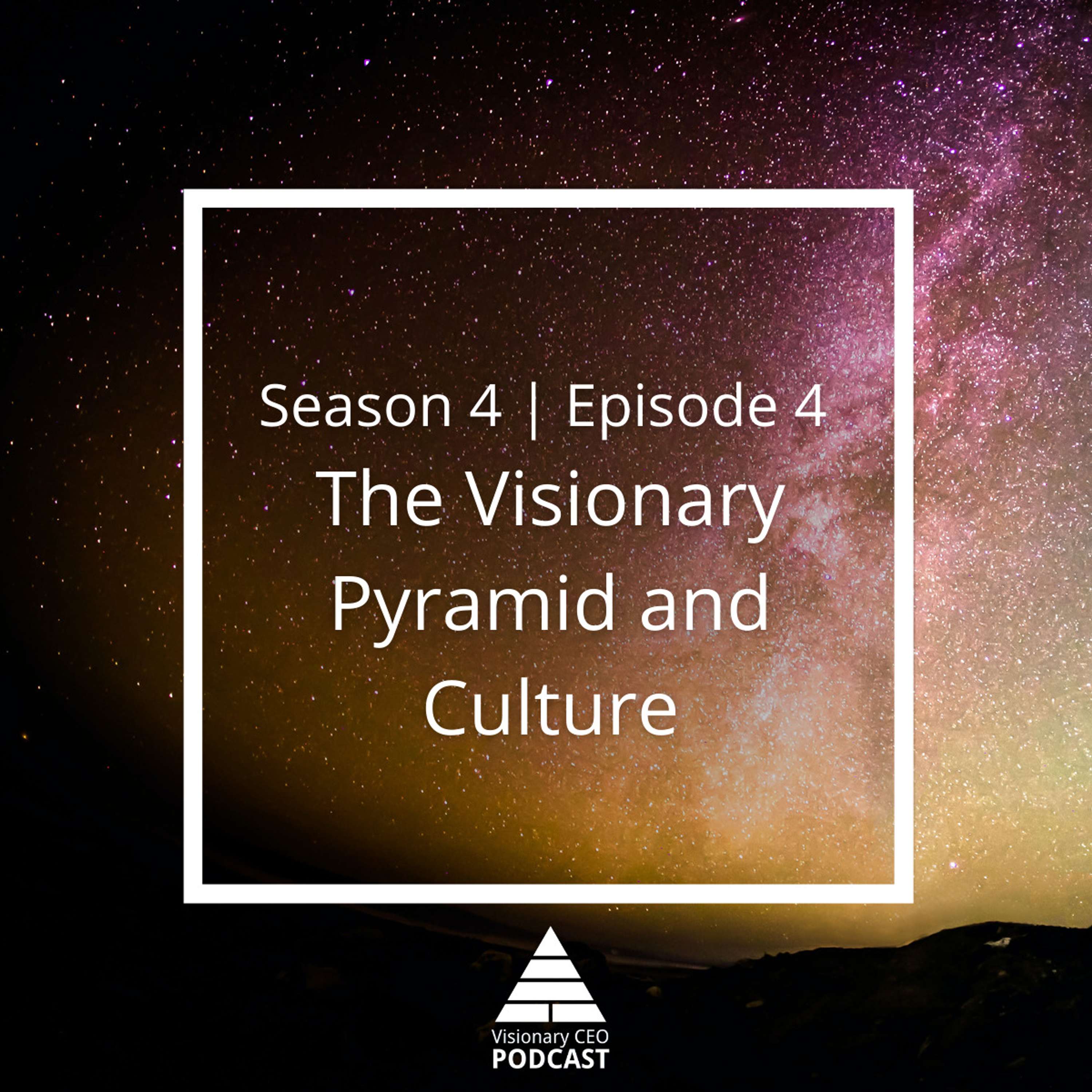 Visionary CEO Podcast