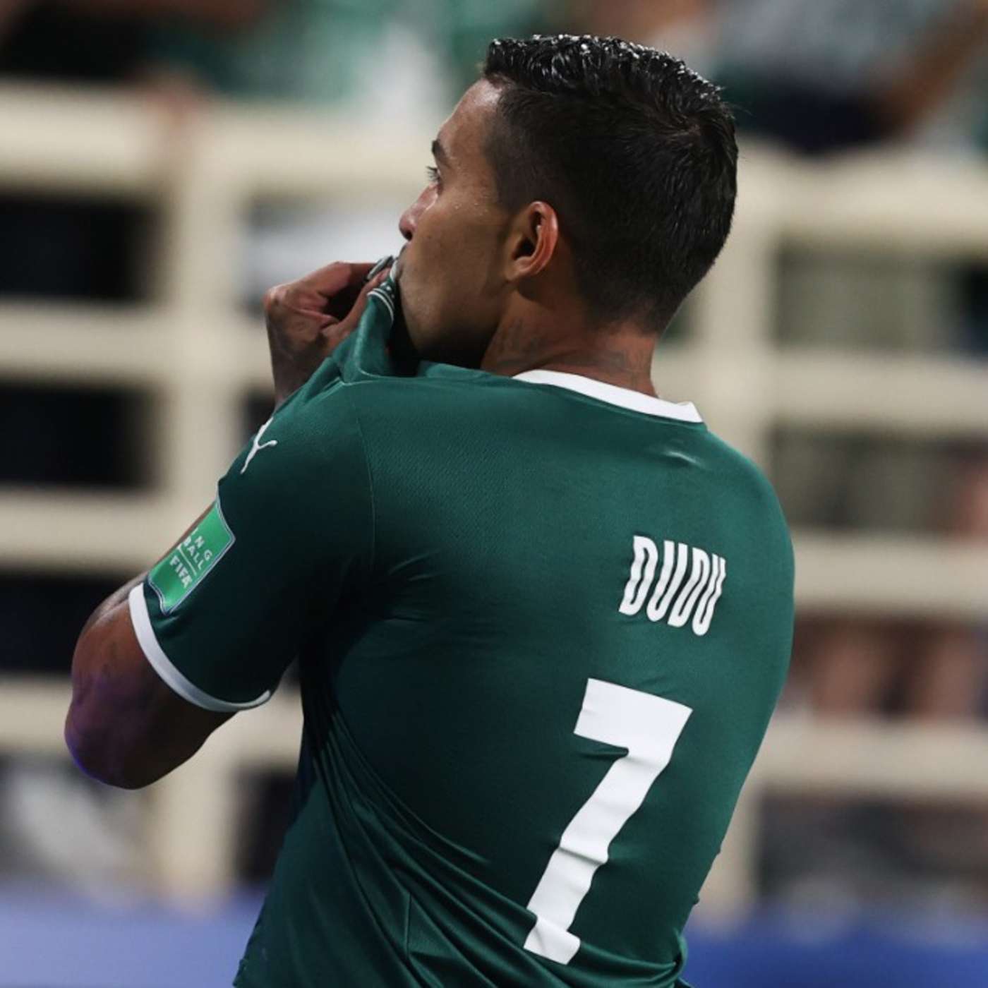 Parlando de Palmeiras