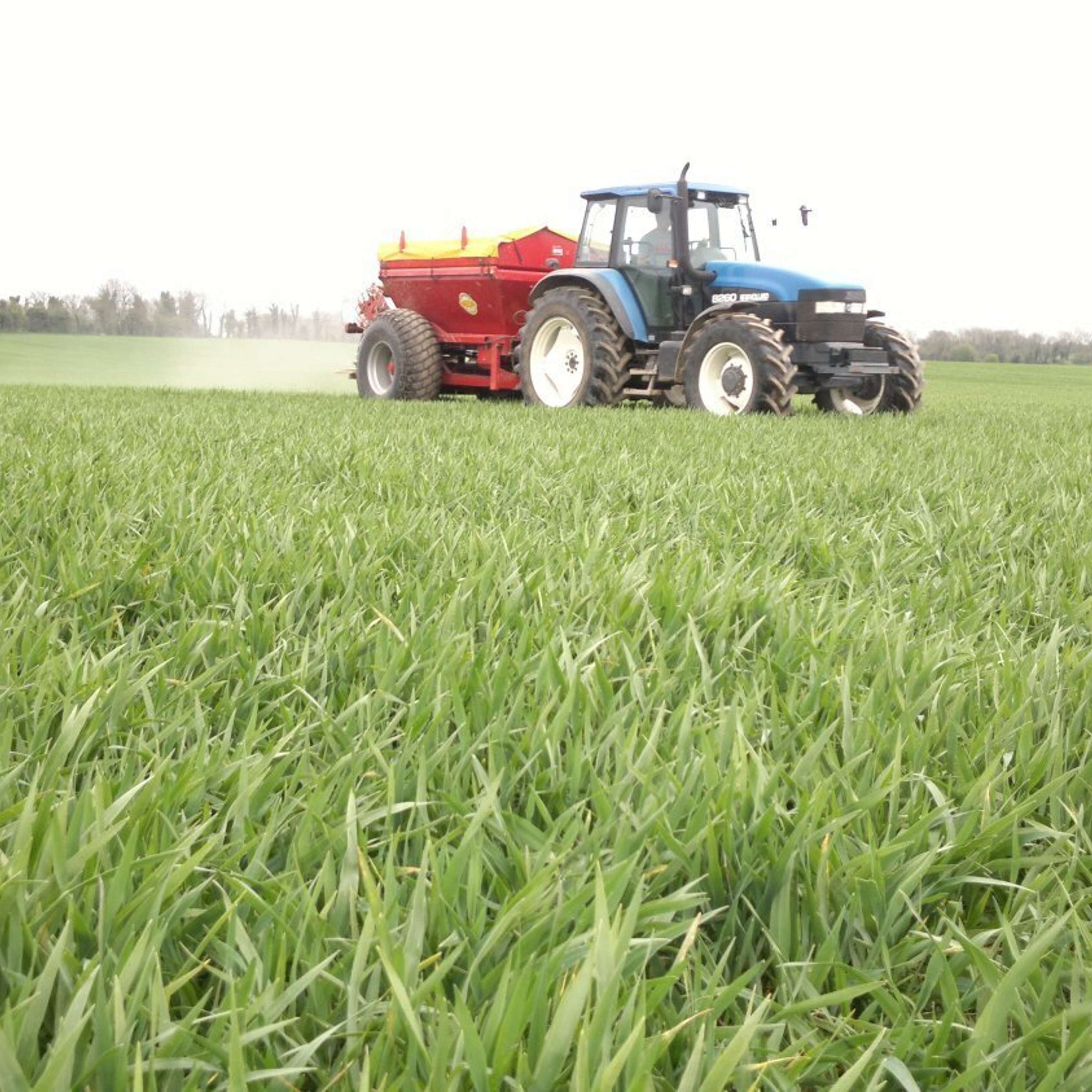 The Tillage Edge