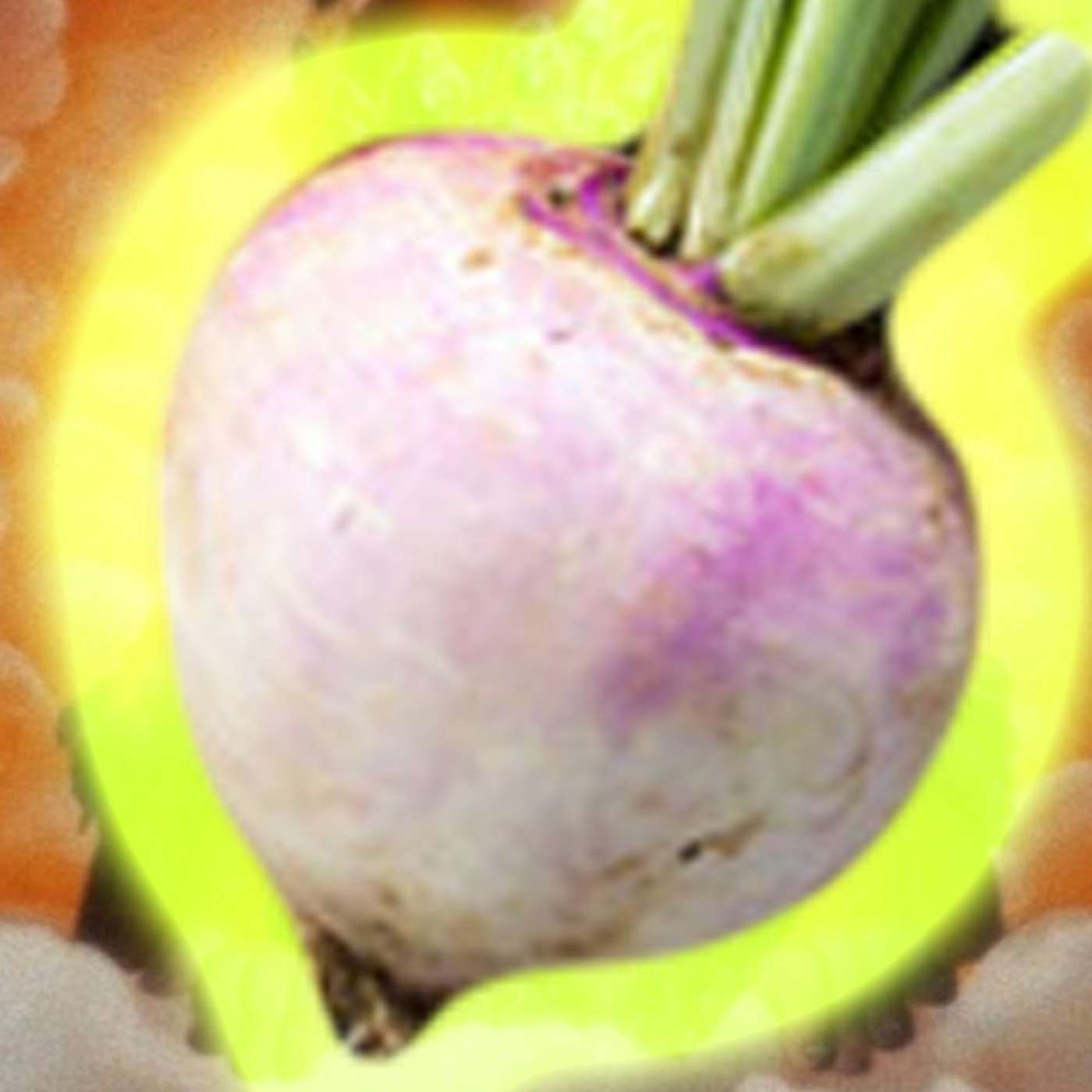 The Dry Spellcast 79: God Bless the Turnips episode artwork