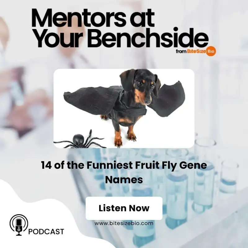 Funny Fruit Fly Gene Names