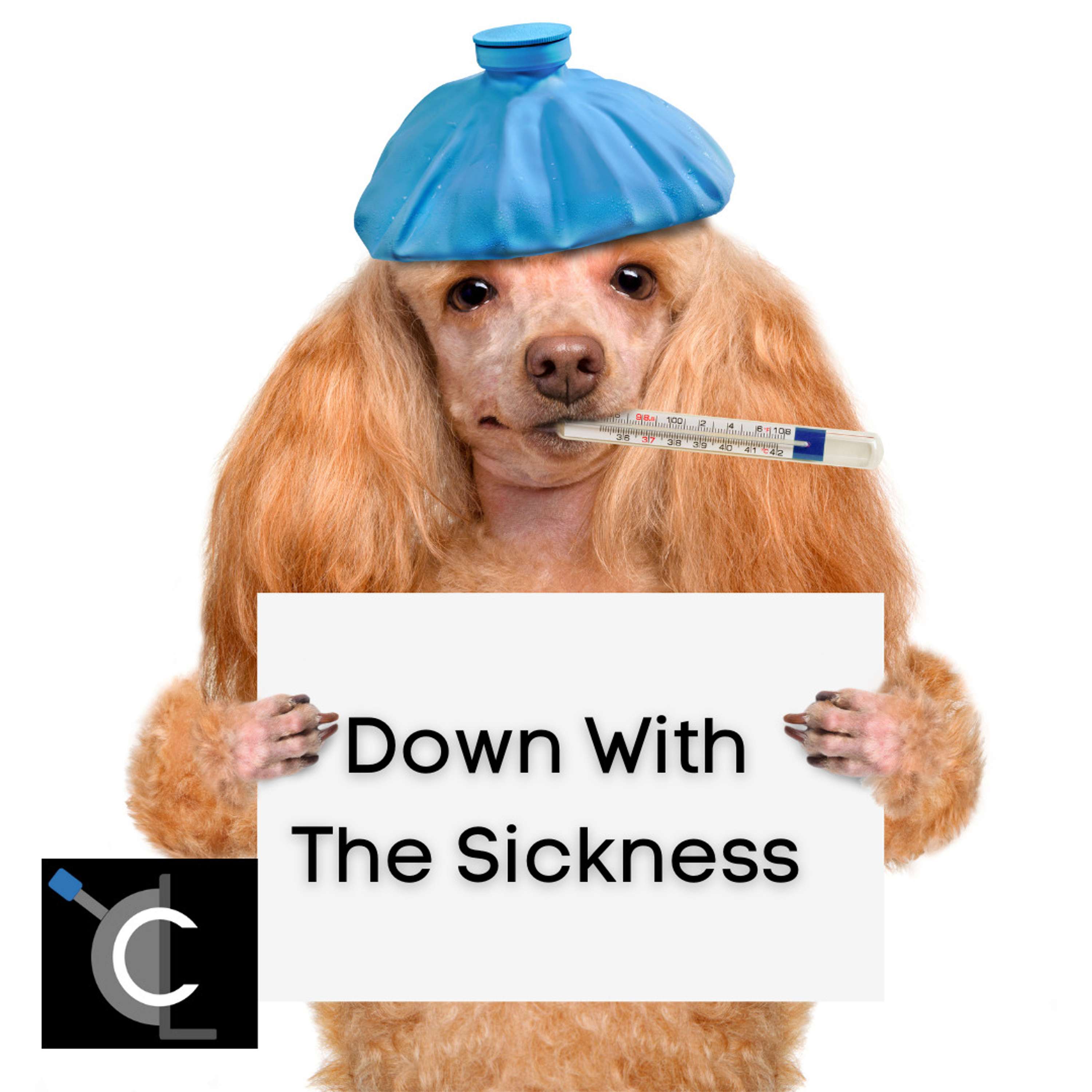 Down With The Sickness
          
          
            
              [22]