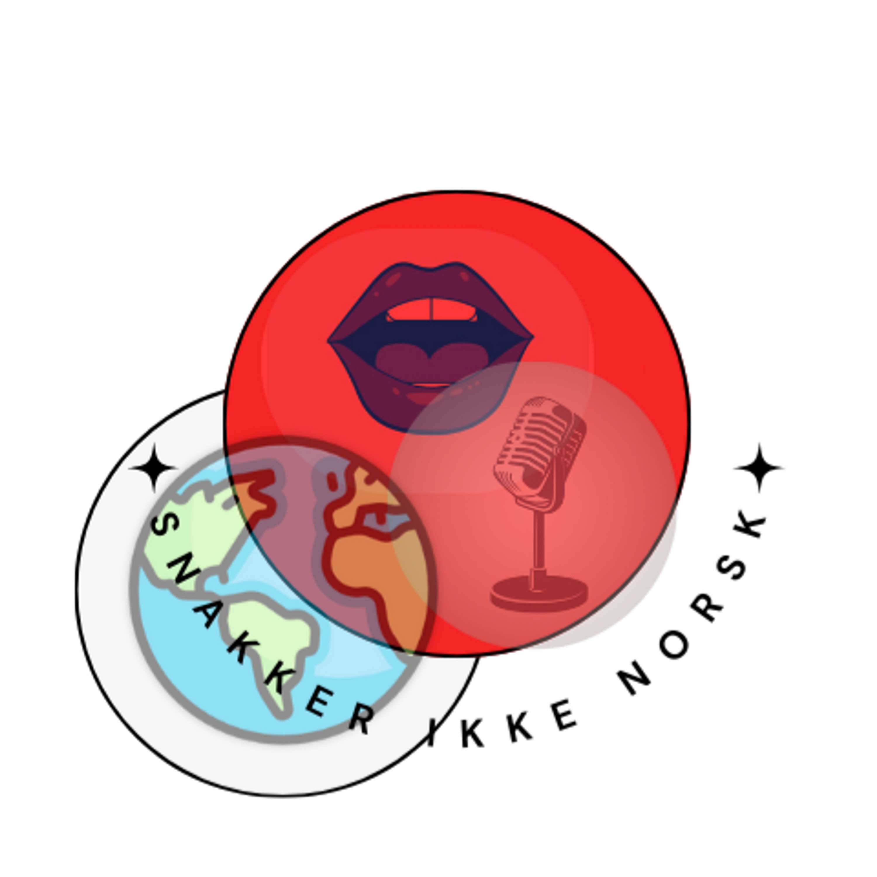 Snakker Ikke Norsk