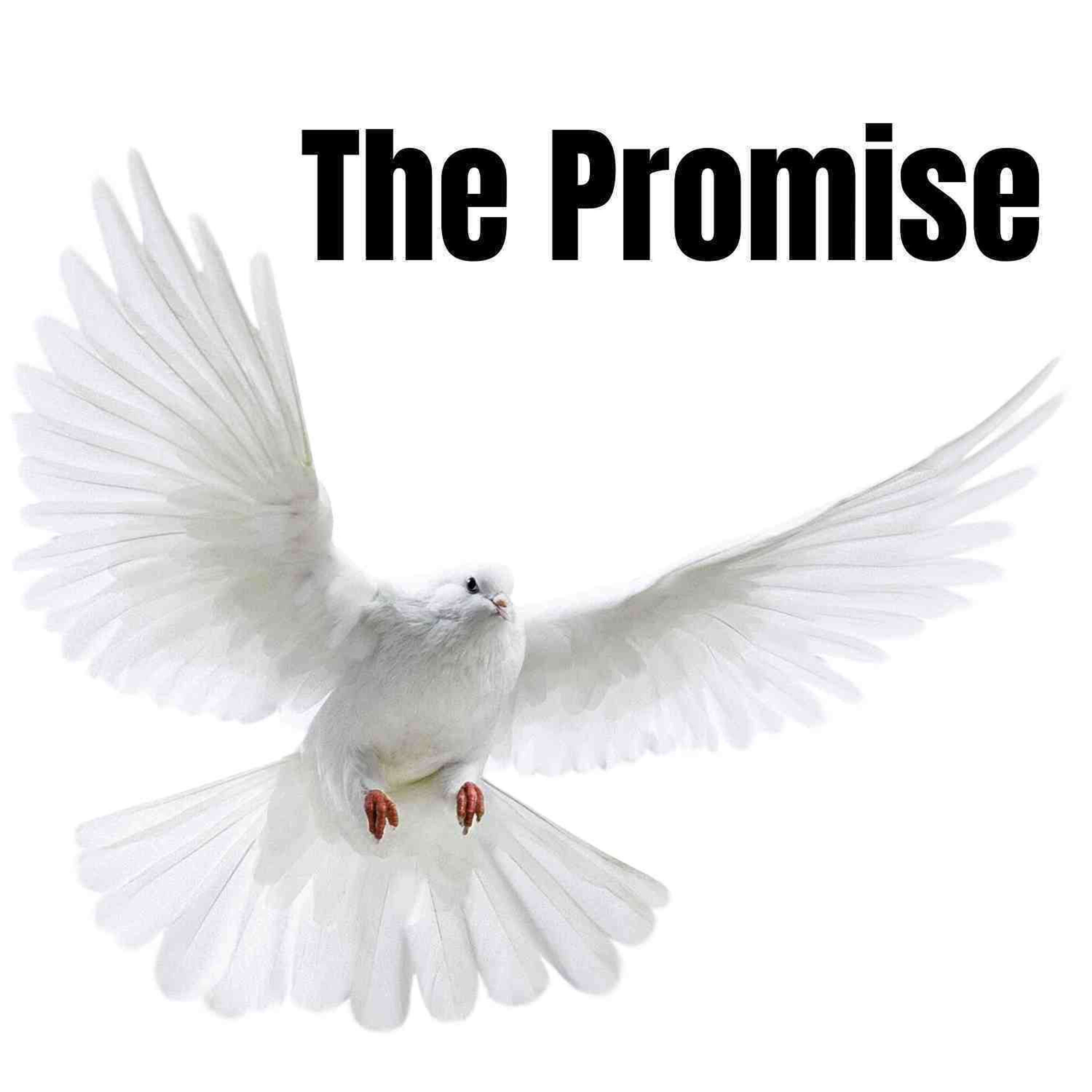 The Promise episode artwork