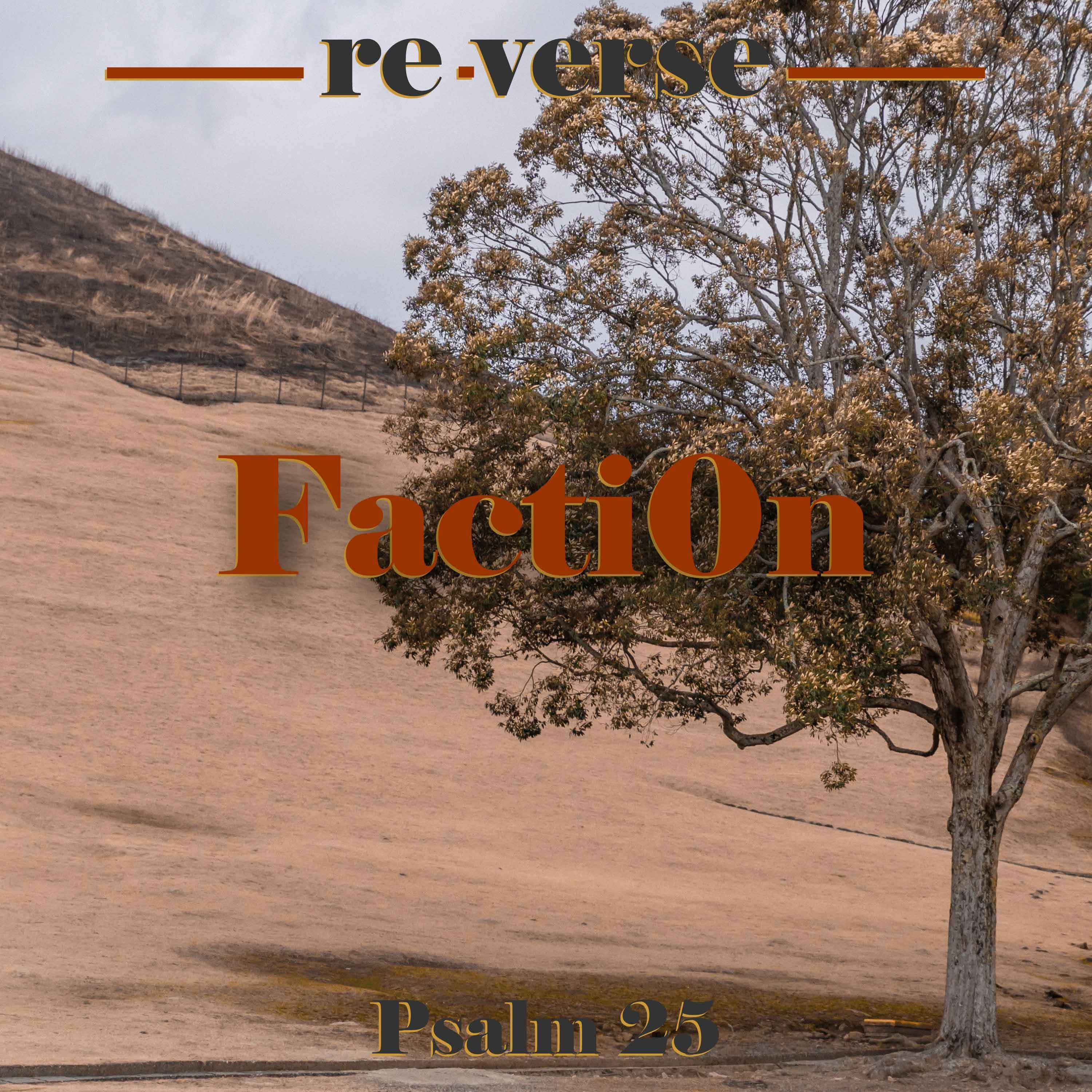 re-verse