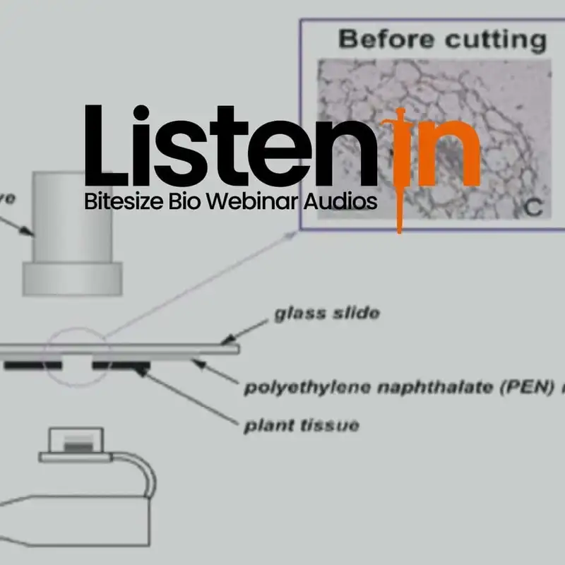 Laser Microdissection – Dissection Perfection