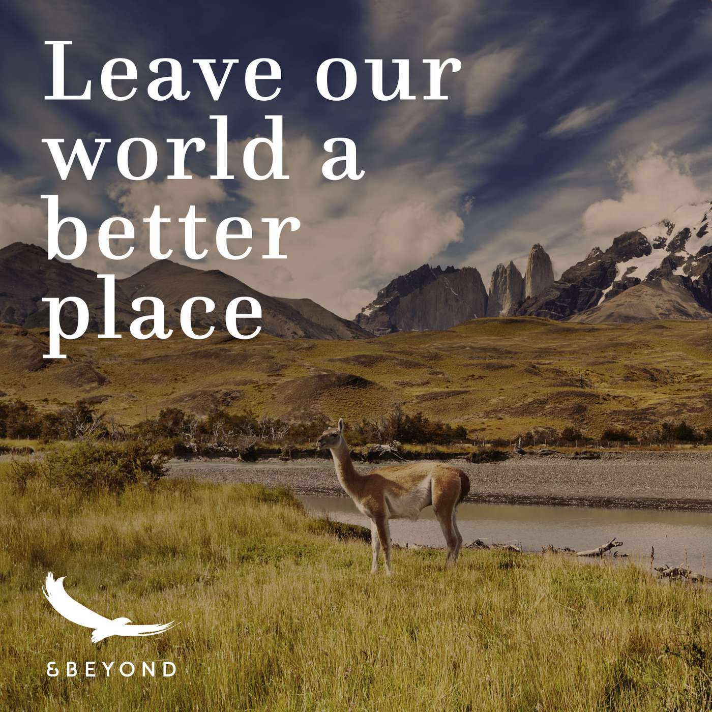 Rewilding Chile with Cristián Saucedo