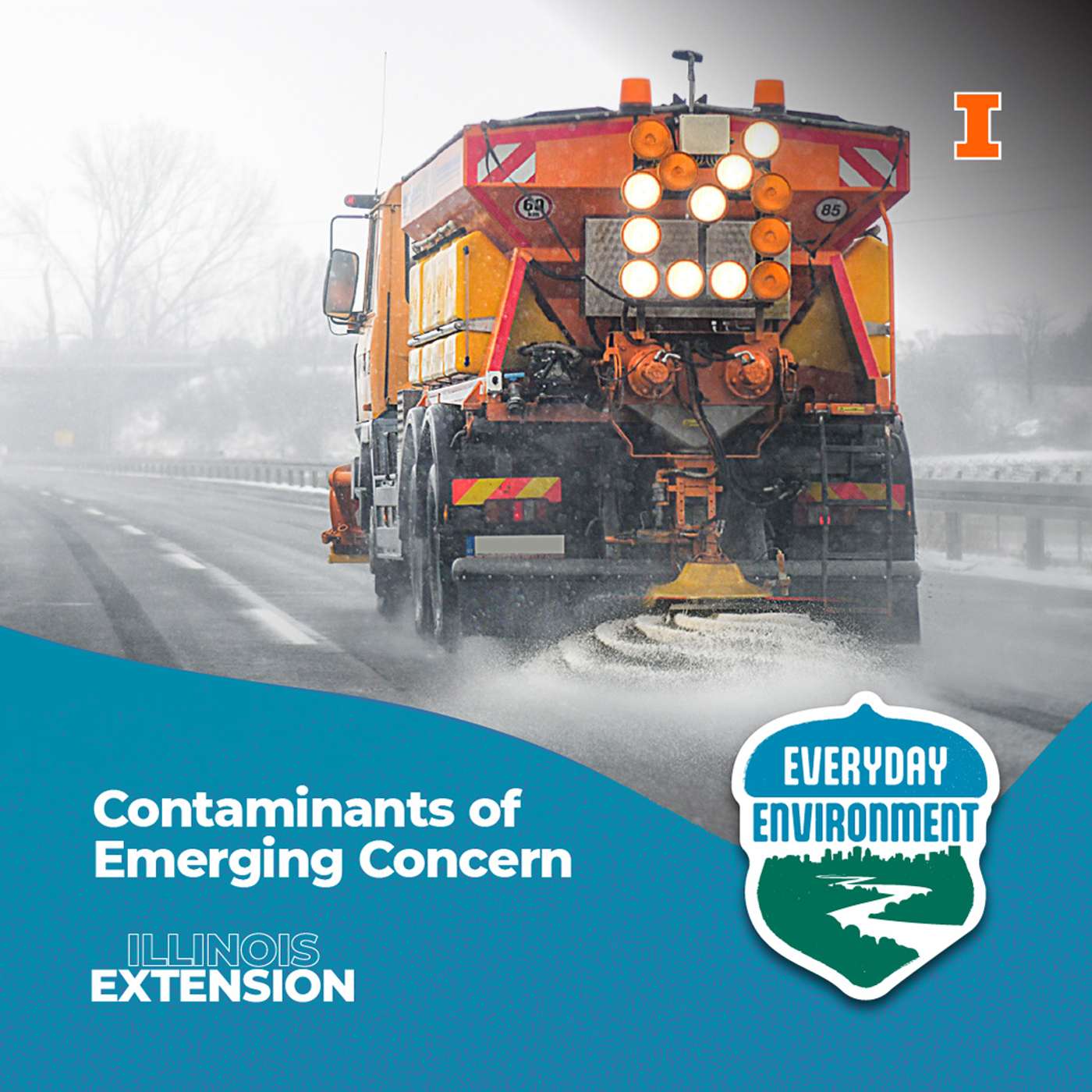 Everyday Environment Podcast
