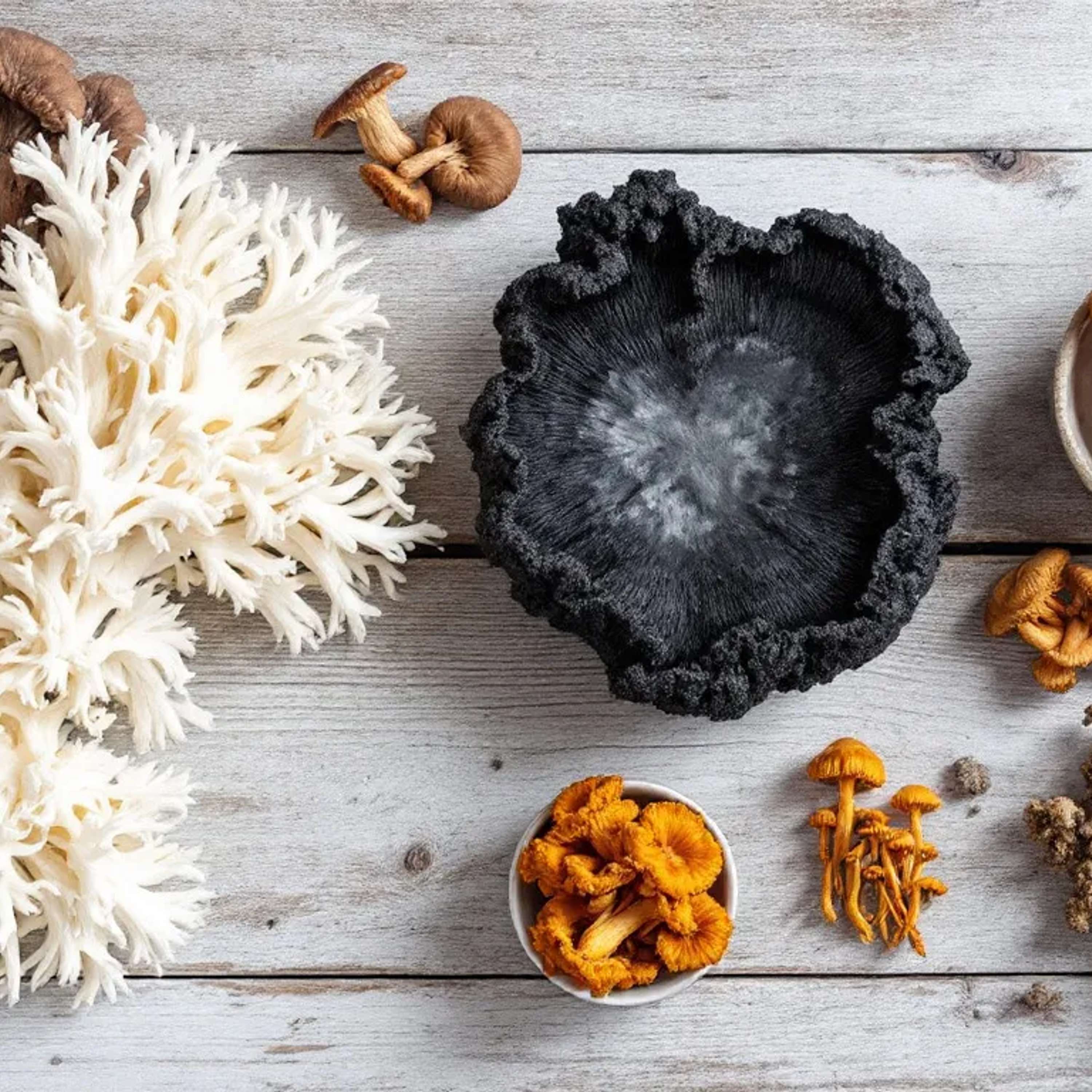 Are Mushroom Supplements Good for Brain Health?