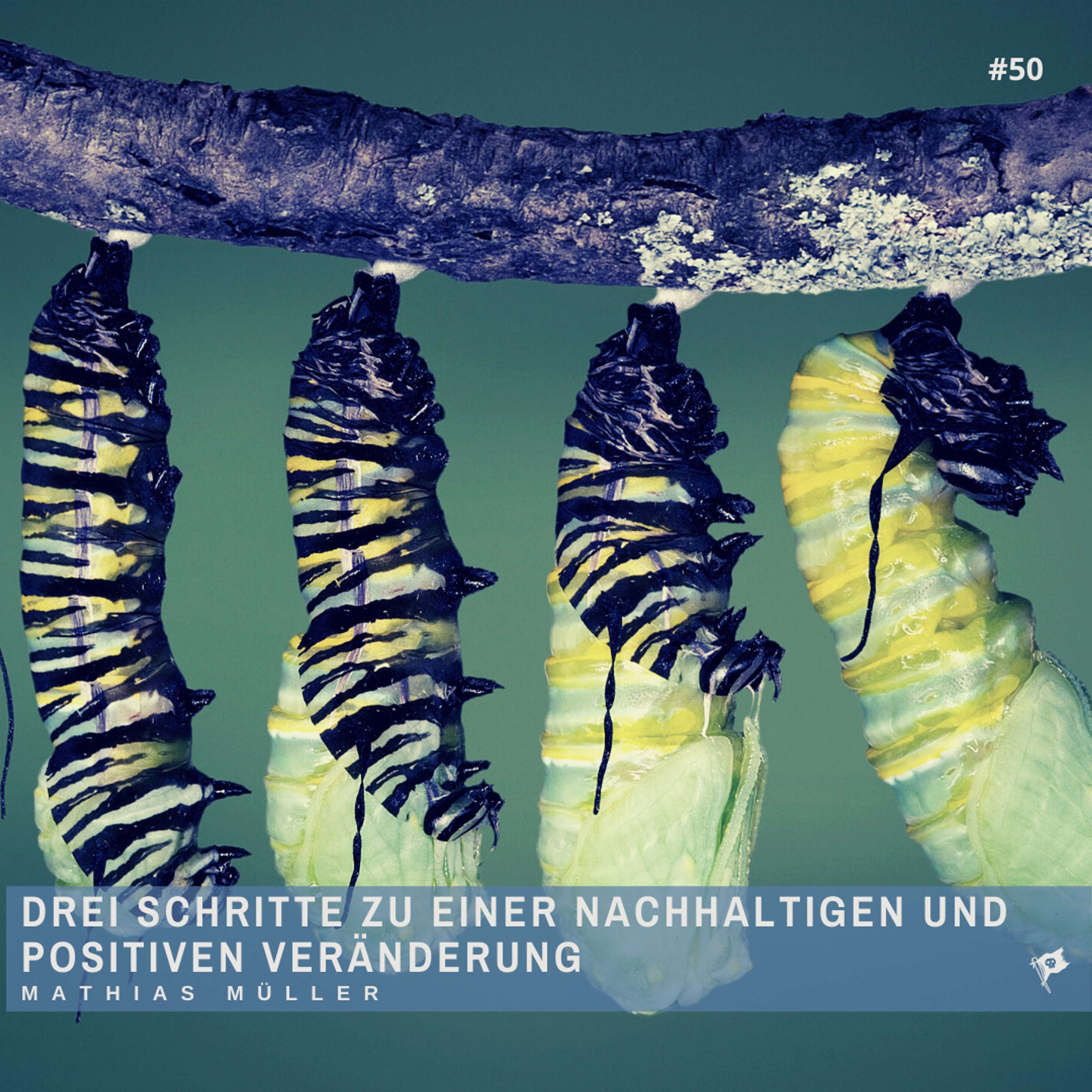 Der stoische Pirat