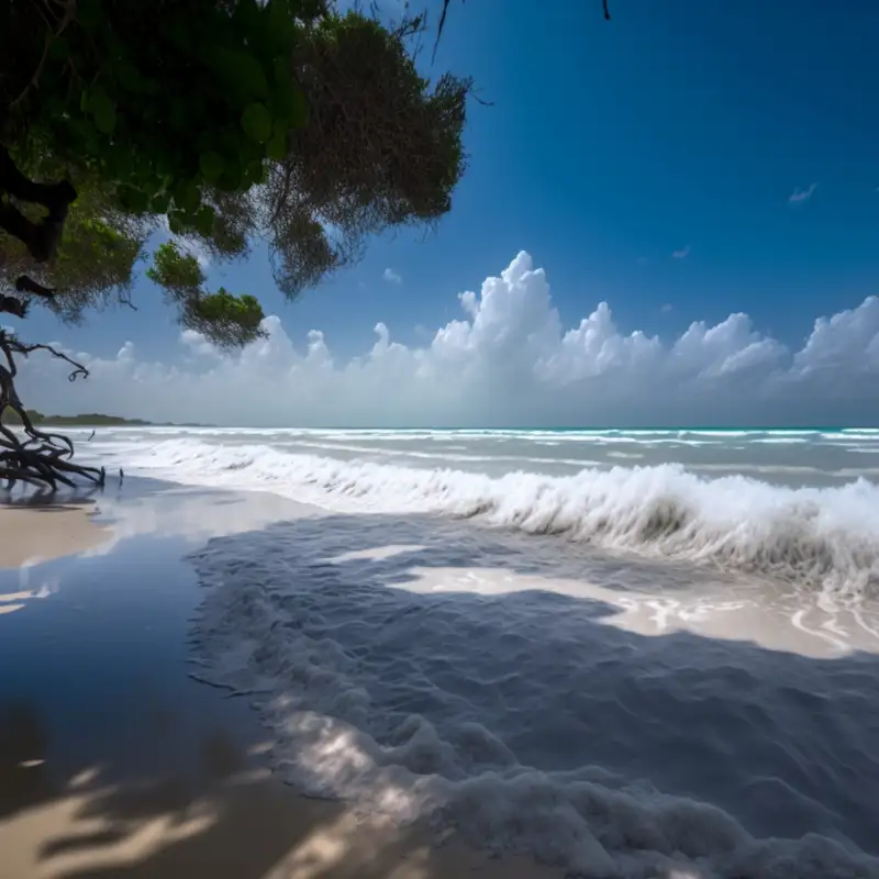 Soothing Waves: 11 Hours of Ocean Sounds for Relaxation