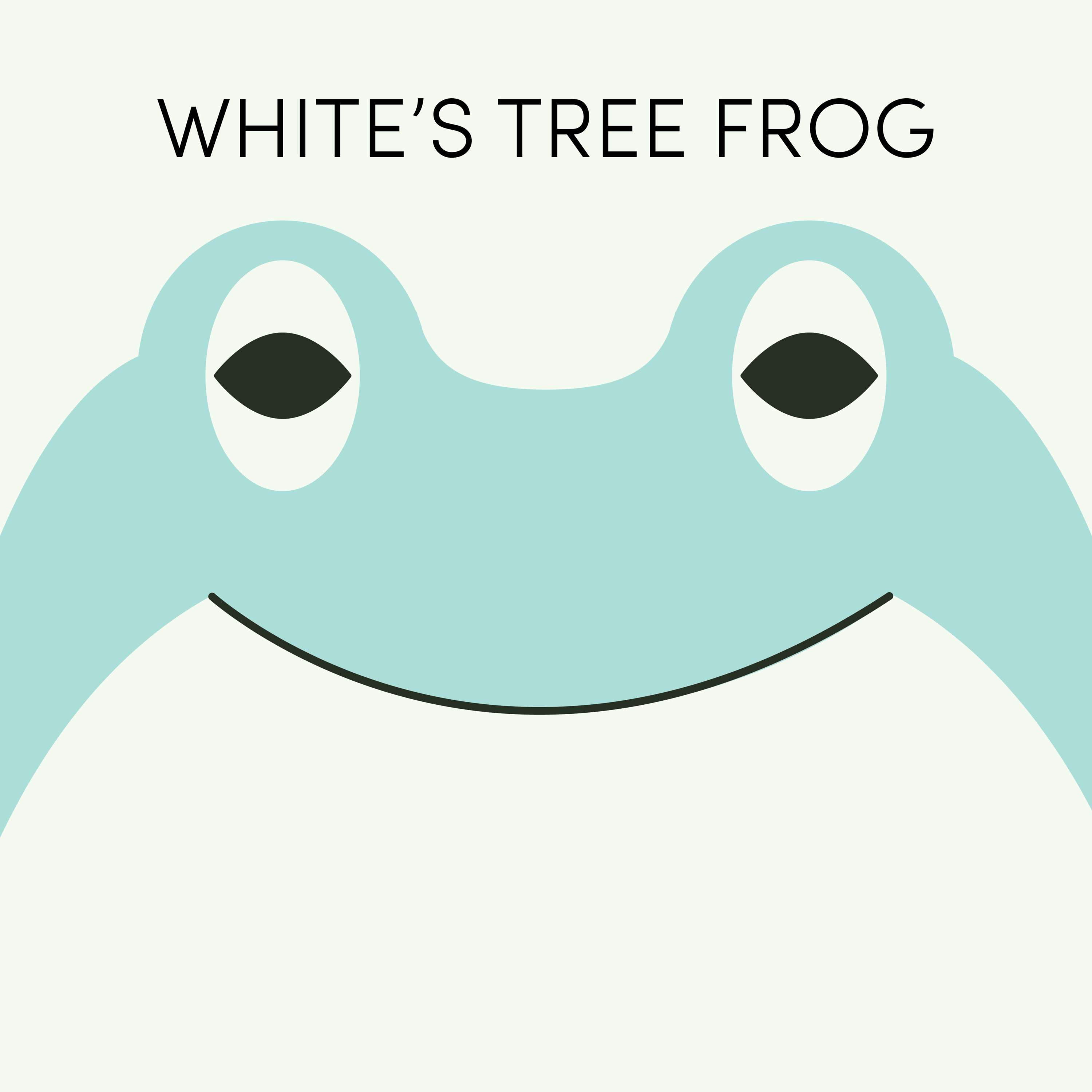 White's Tree Frog | Week of August 23rd