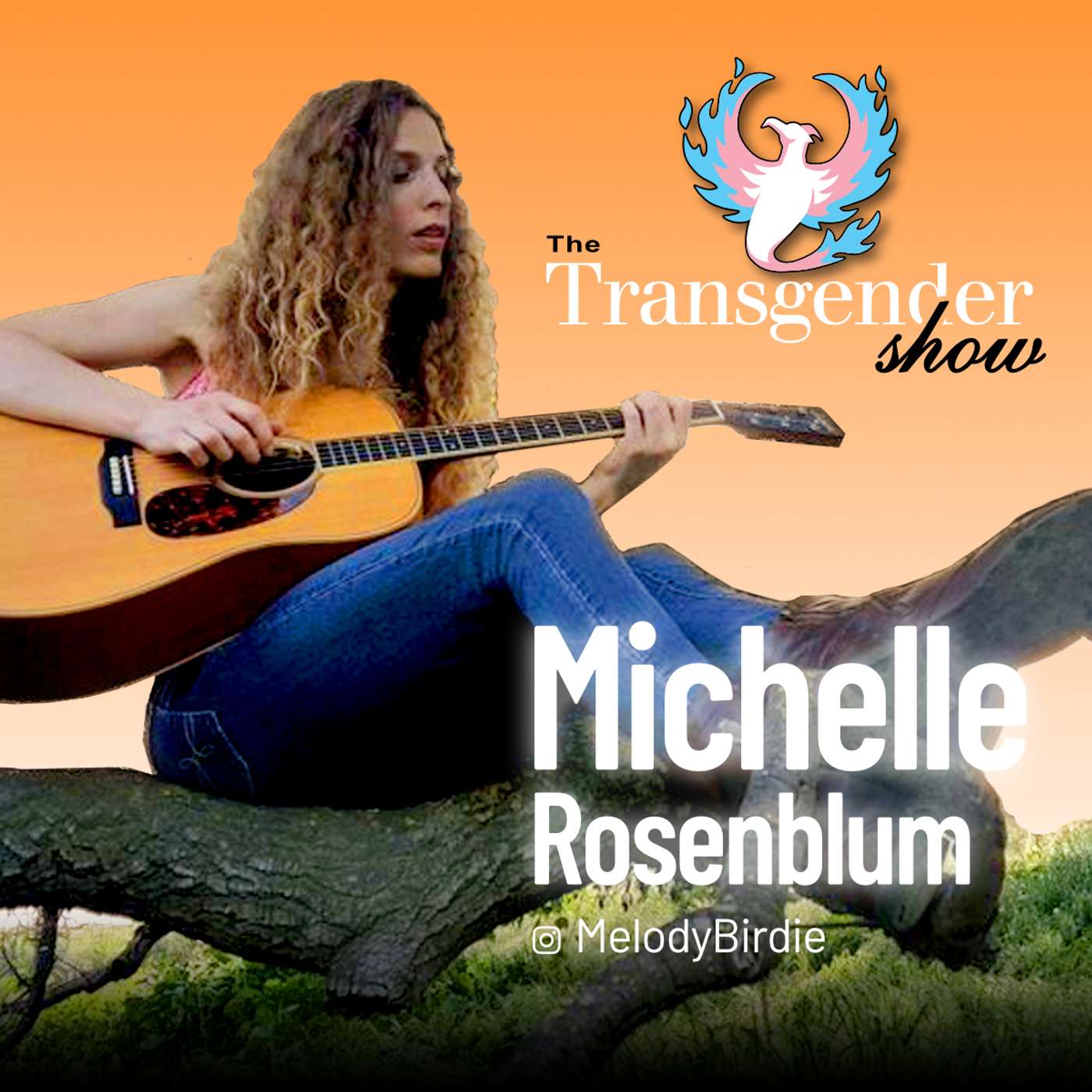 The Transgender Show