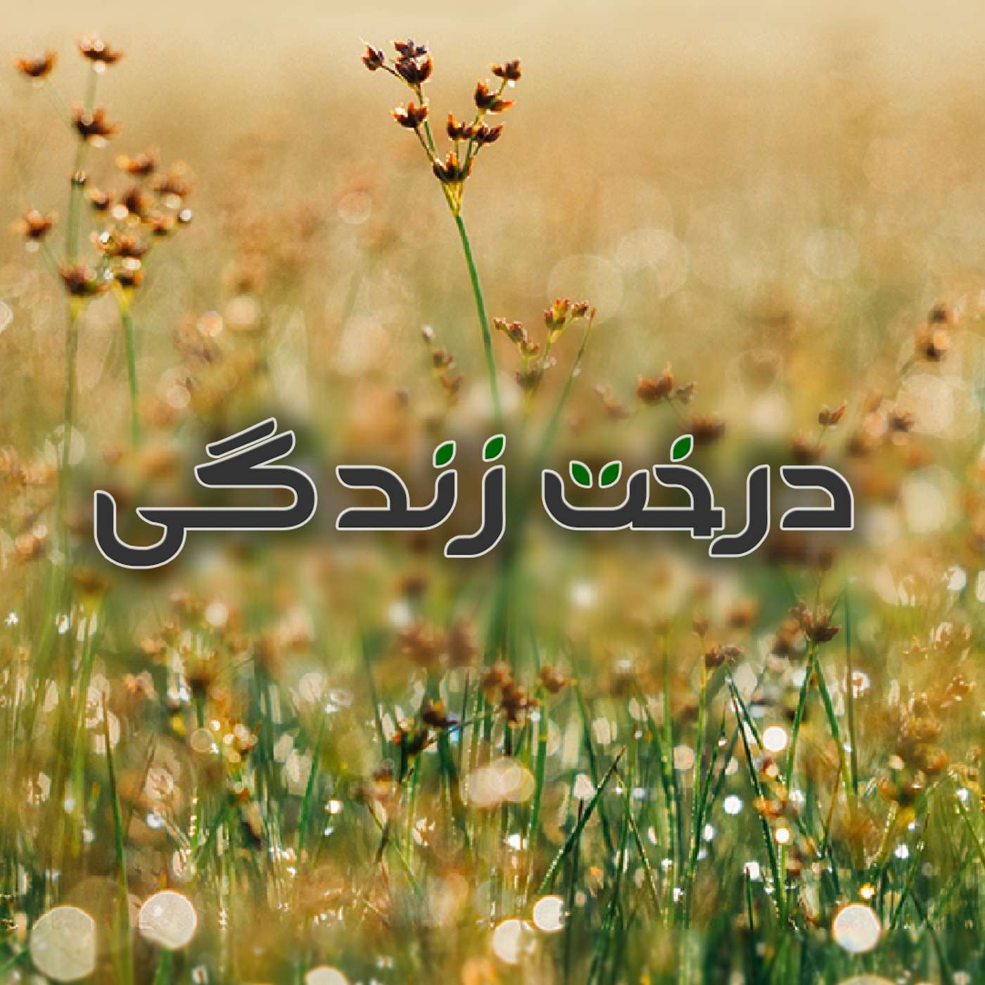 قسمت ۲ - تحول به معنای واقعی episode artwork