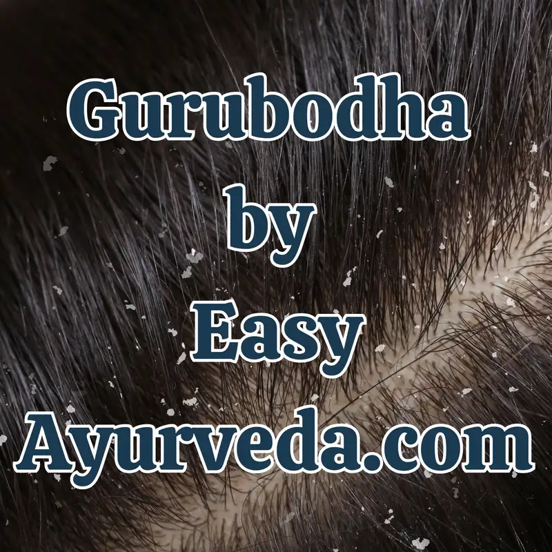 Gurubodha 141: Ayurvedic Anti-lice treatment| Seborrheic dermatitis Treatment | Anti-dandruff  Ayurvedic Shampoo’s| Dandruff Ayurveda Treatment