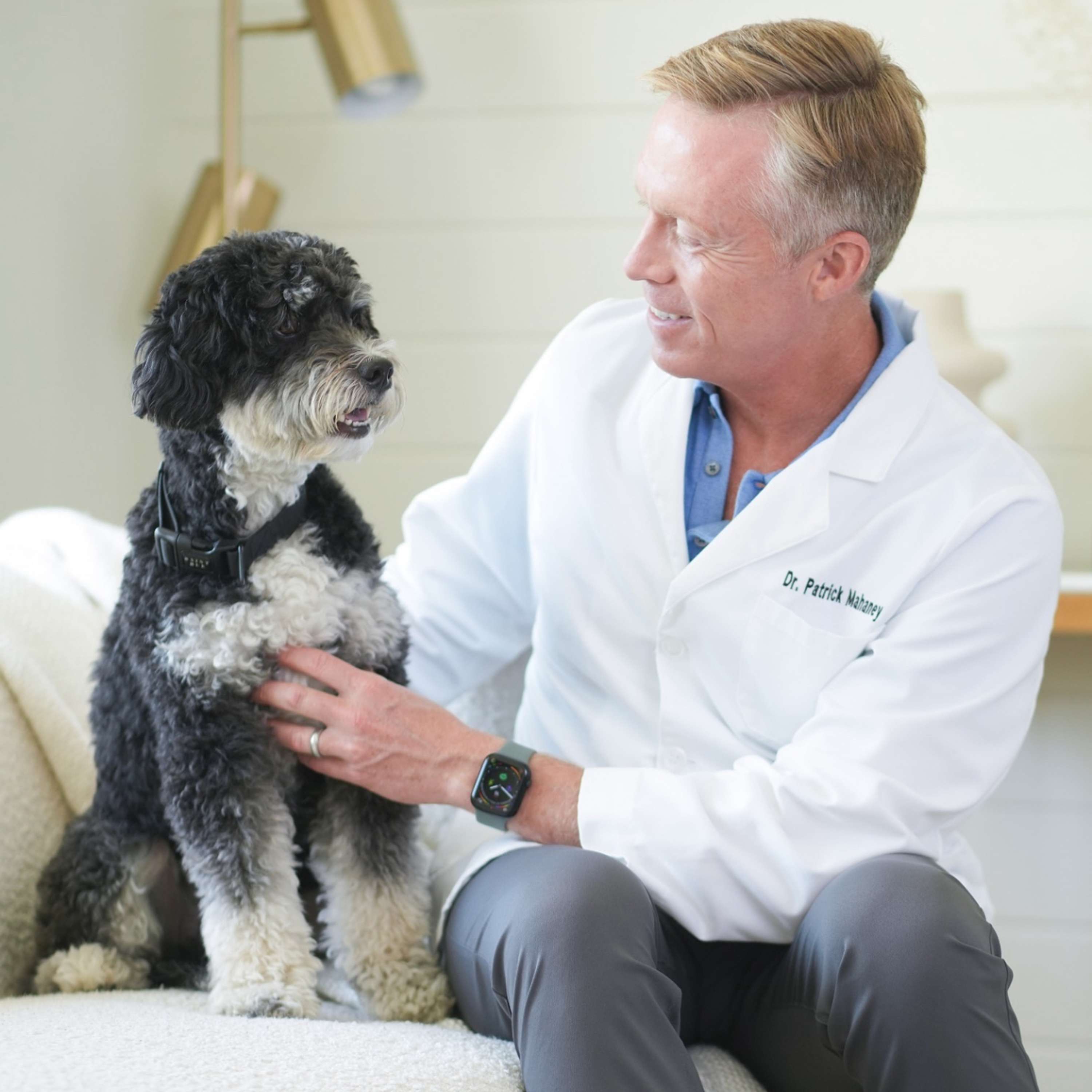 A Dogs Devotion