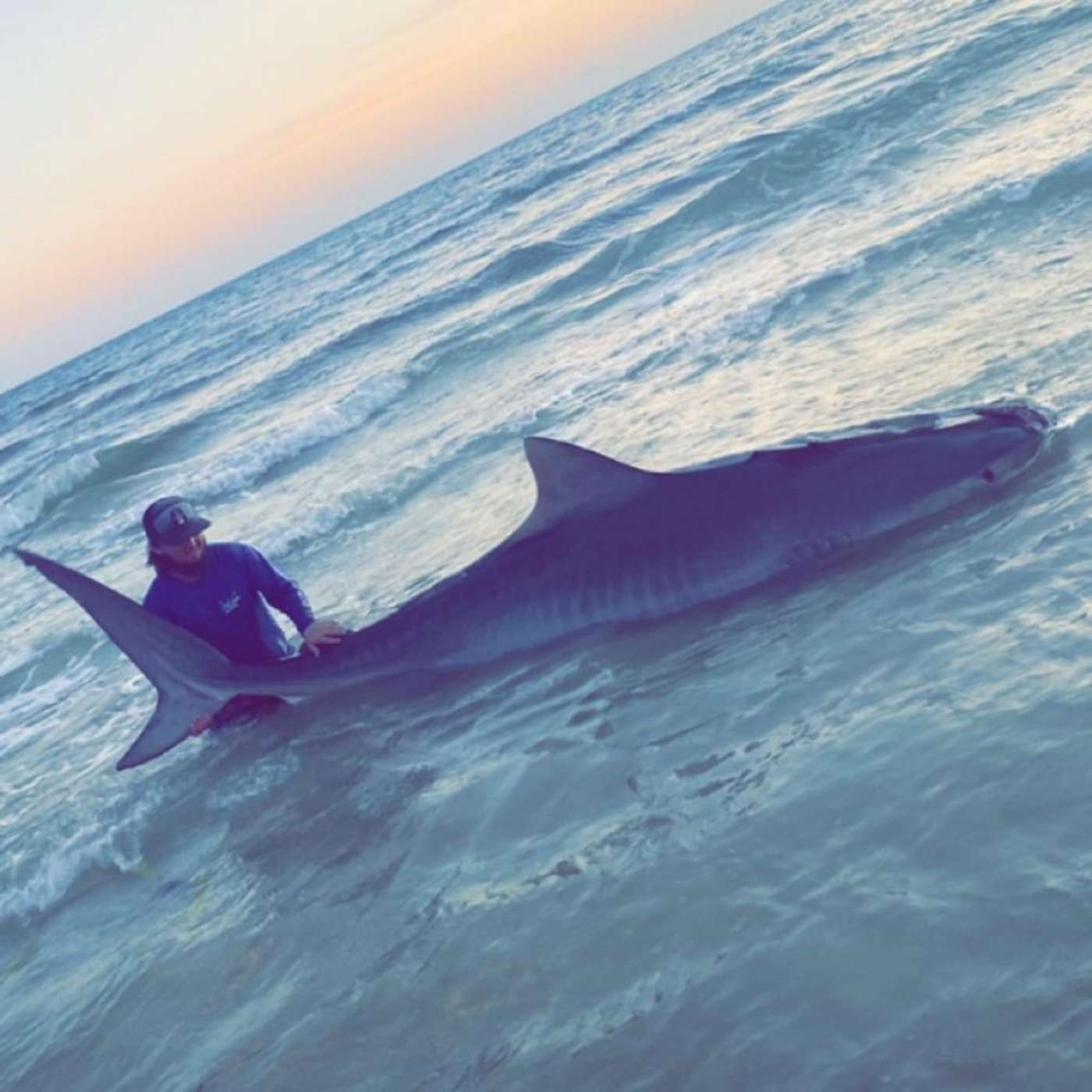 Travis Lucas Hometown Sharkers Travis Lucas Hometown Sharkers