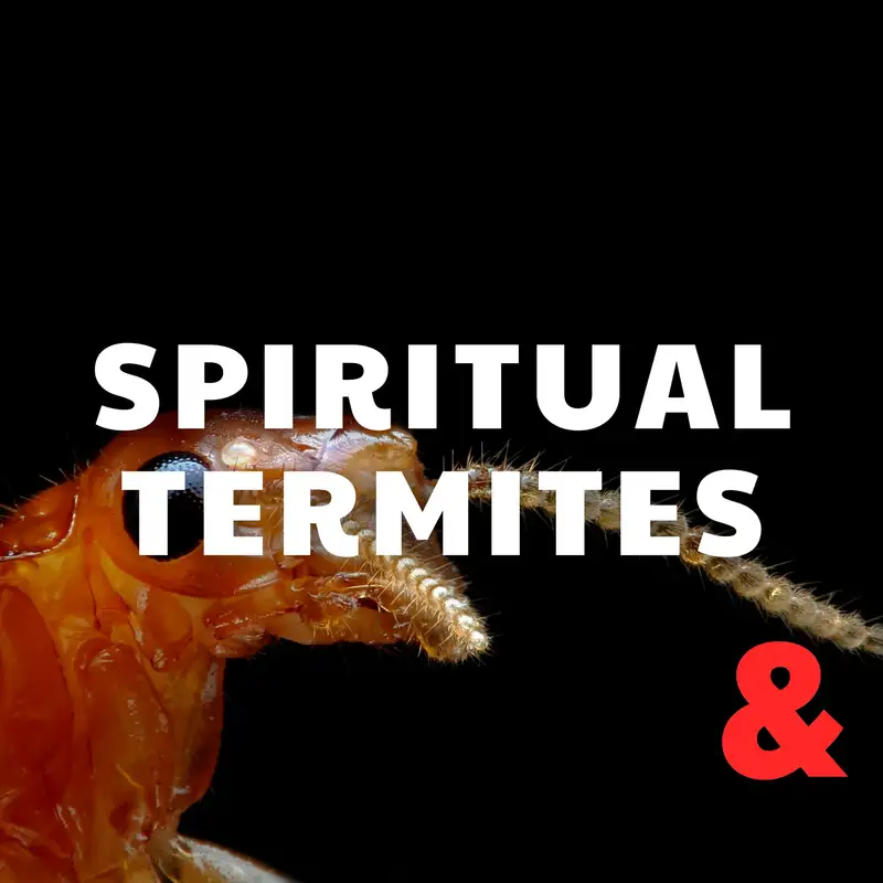 Spiritual Termites