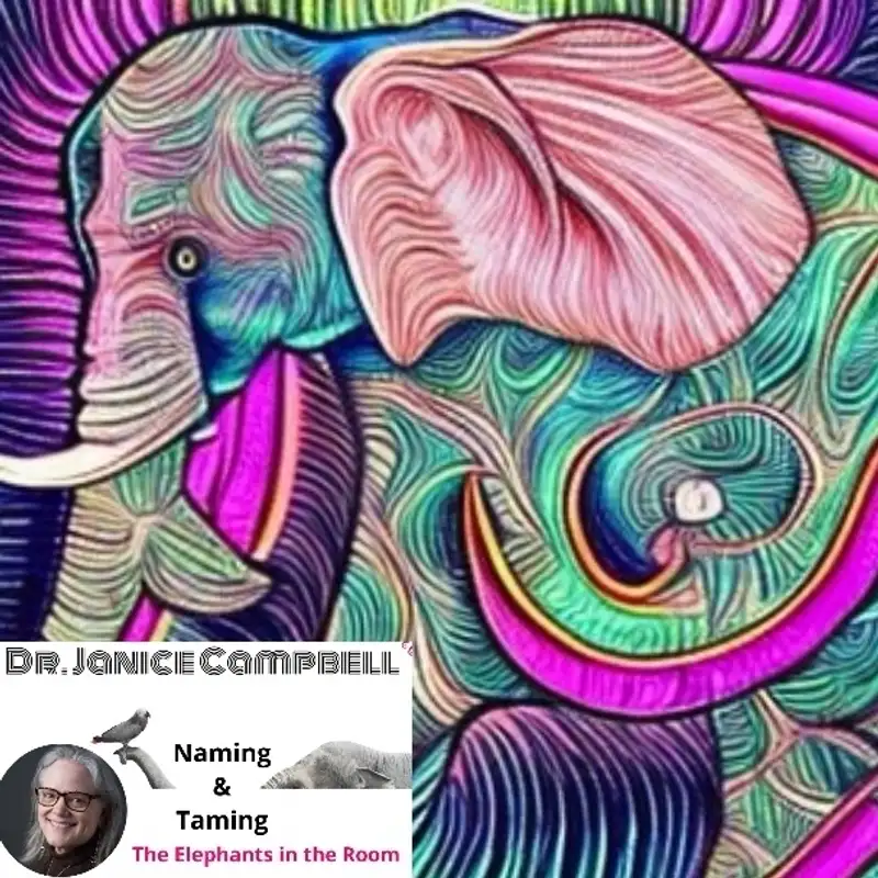 Dr. Janice Campbell - Naming & Taming The Elephants in the Room