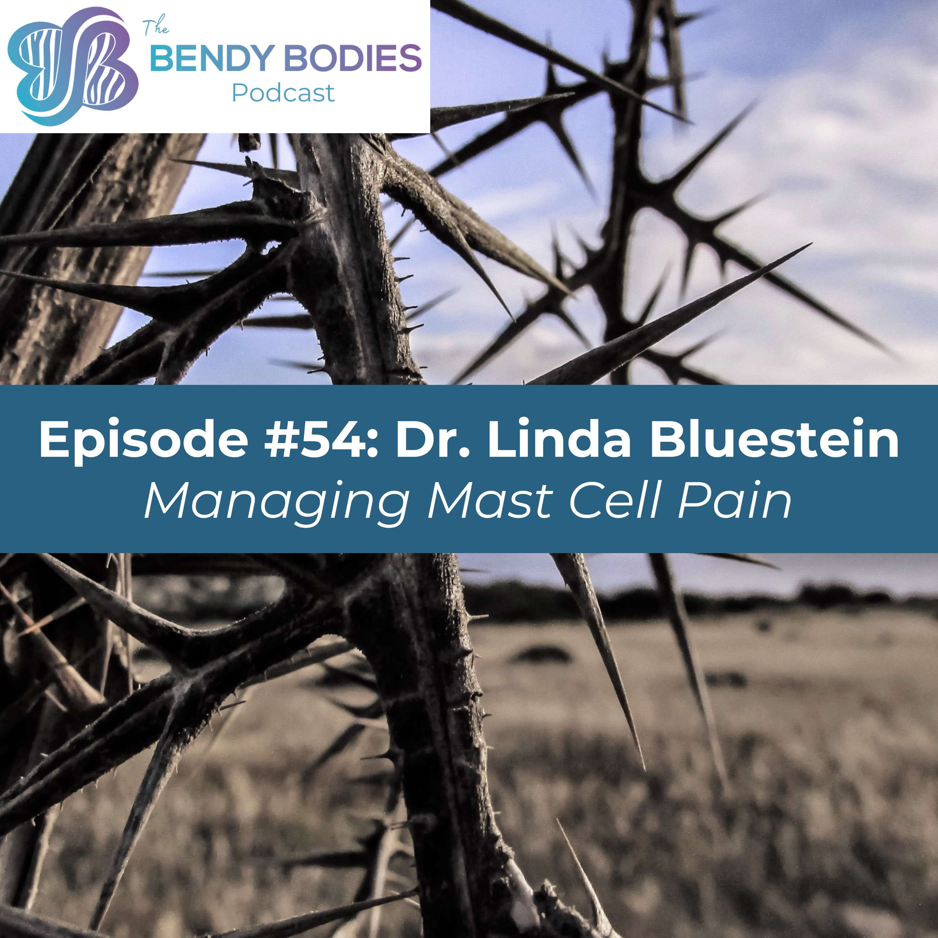 54. Managing Mast Cell Pain with Linda Bluestein, MD