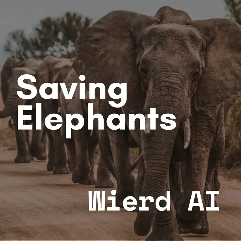 Saving Elephants with AI