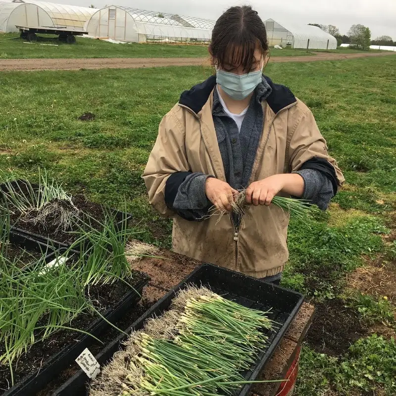 Student Organic Farm finds new home in Division of Student Life and Engagement